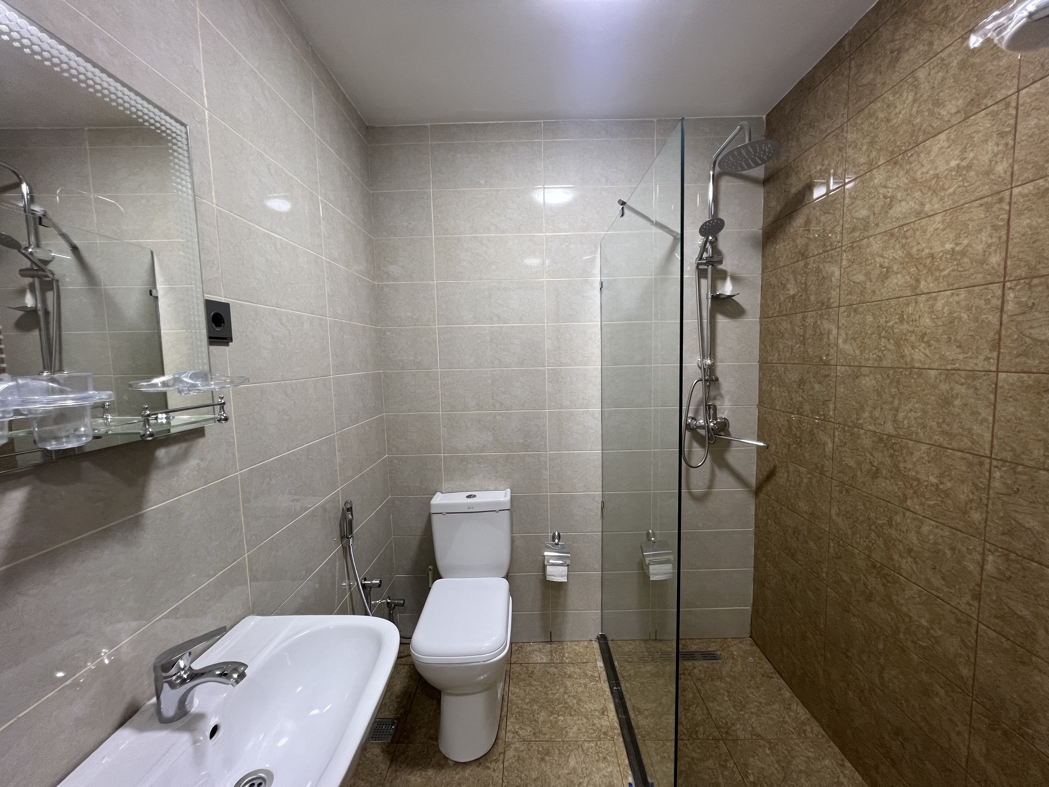 Double or Twin Economy