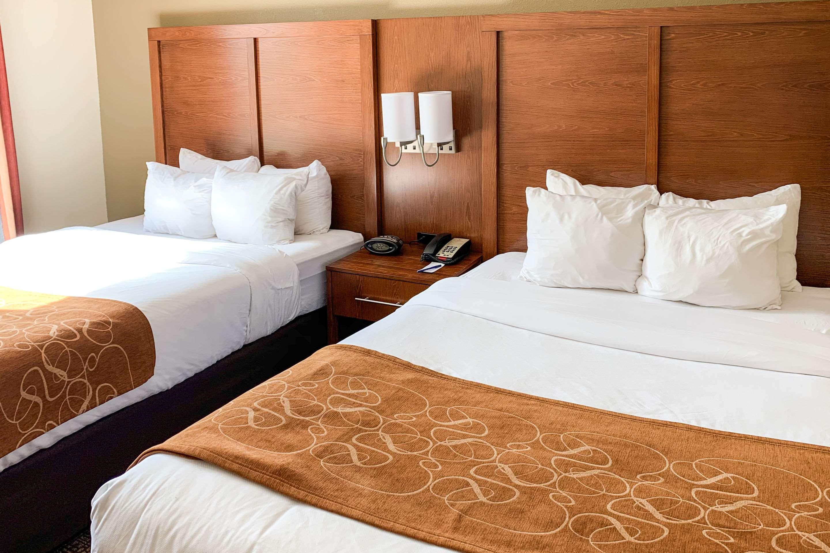 Suite Two Queen Beds Non Smoking