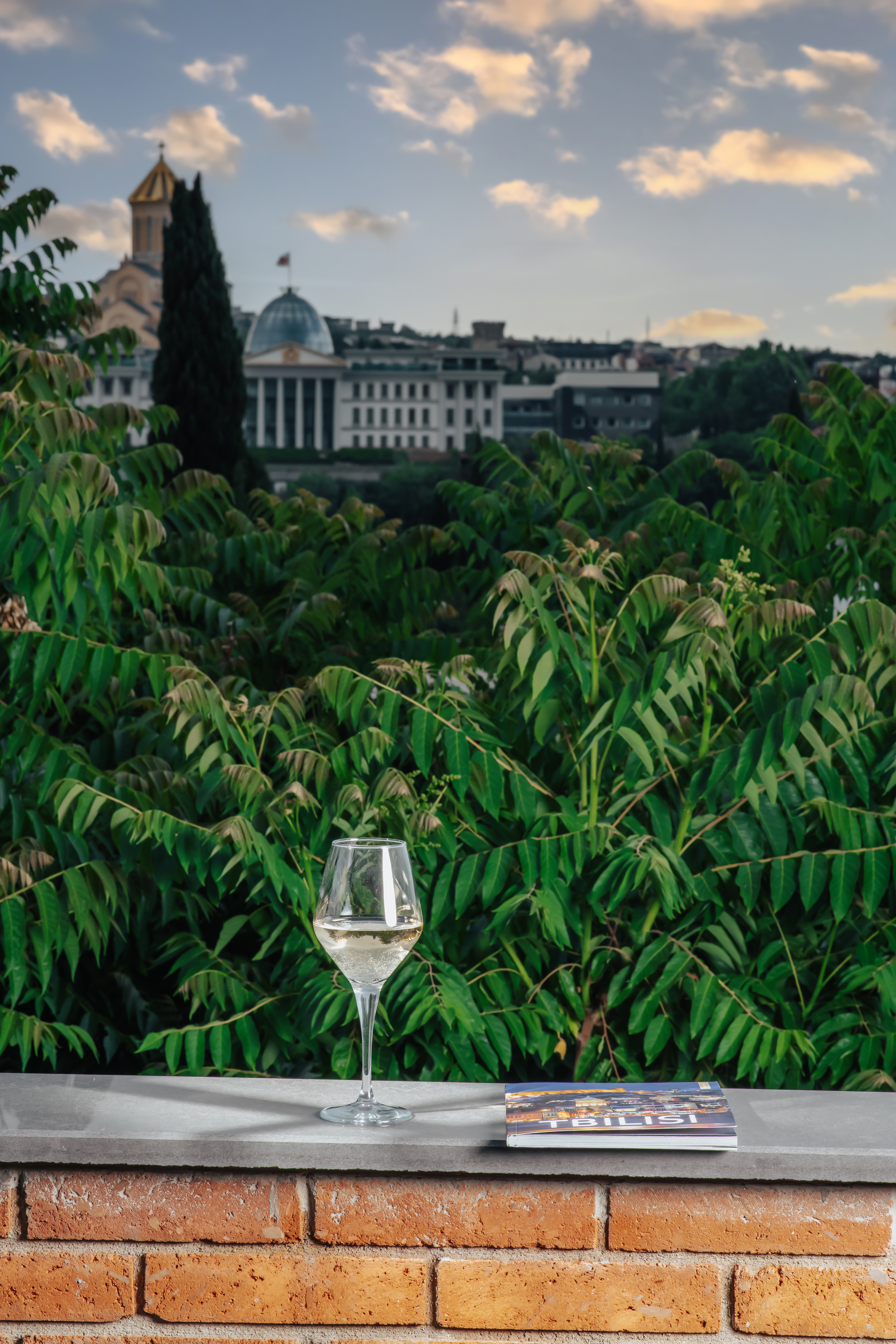 Double Superior City View