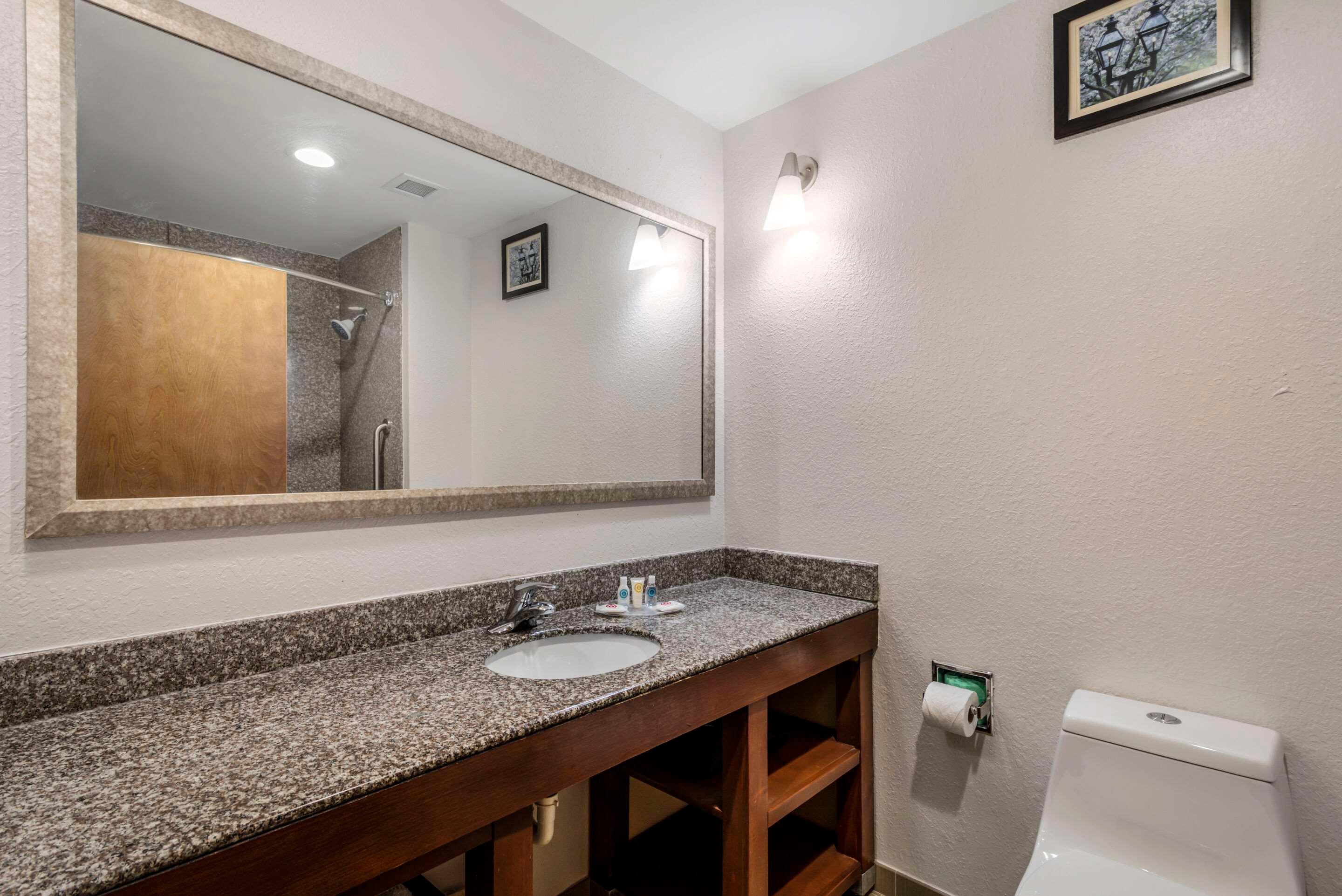 Suite King Bed Non Smoking