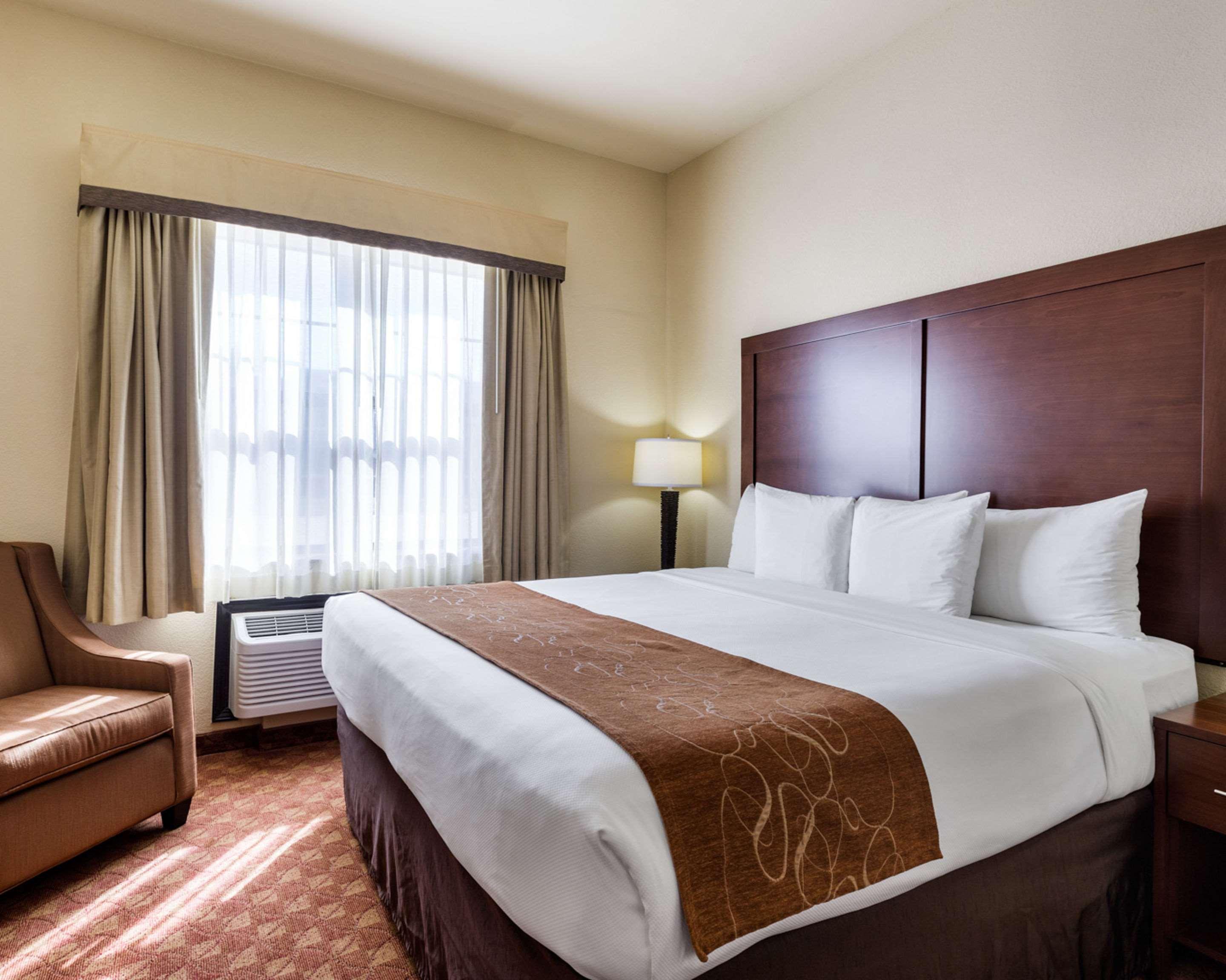 Suite King Bed Non Smoking