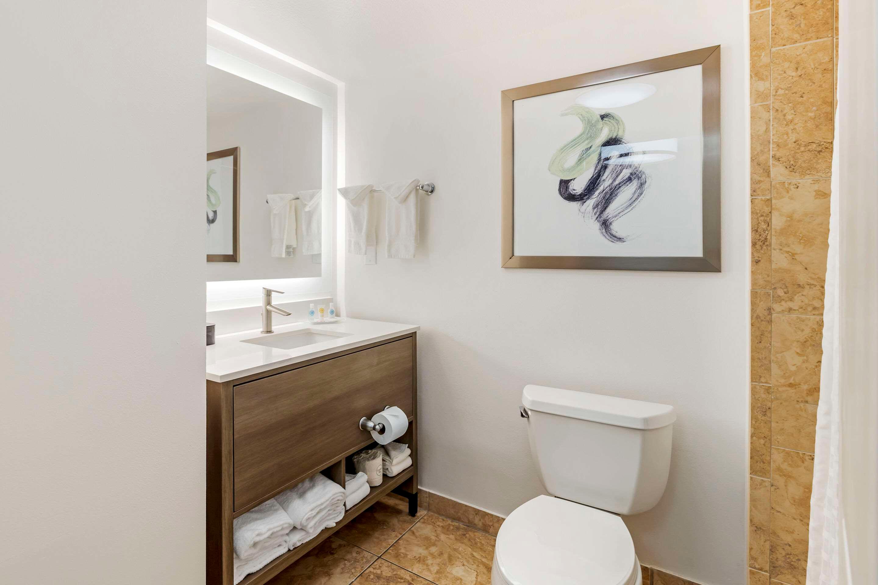 Suite Accessible King Size Bed