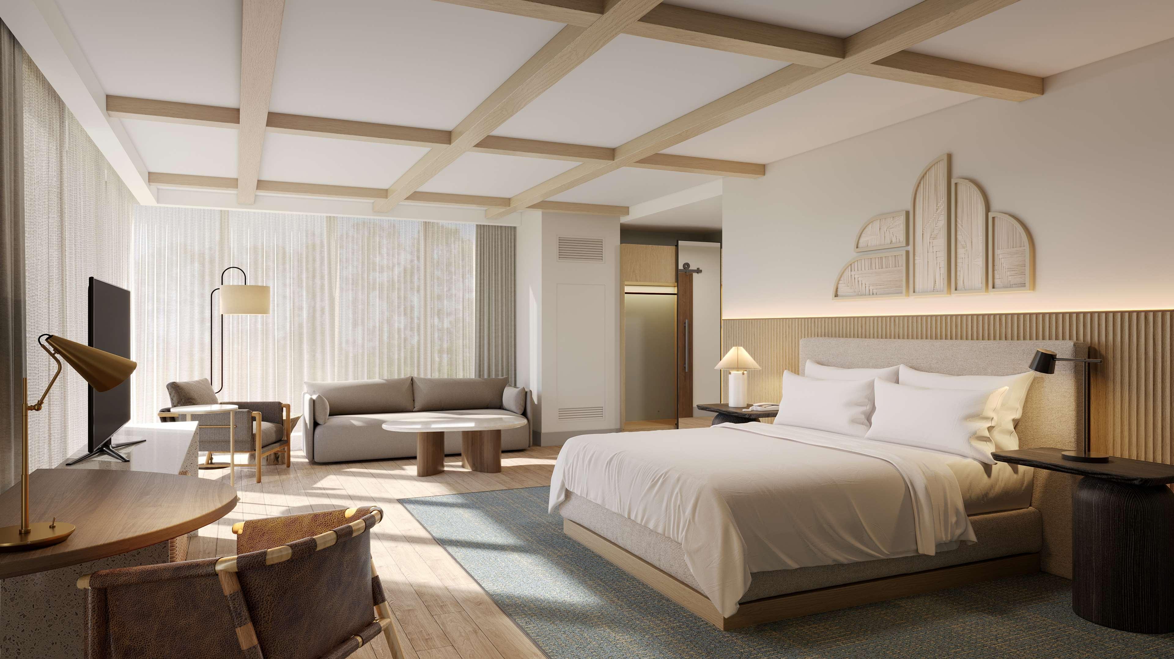 Junior Suite Accessible