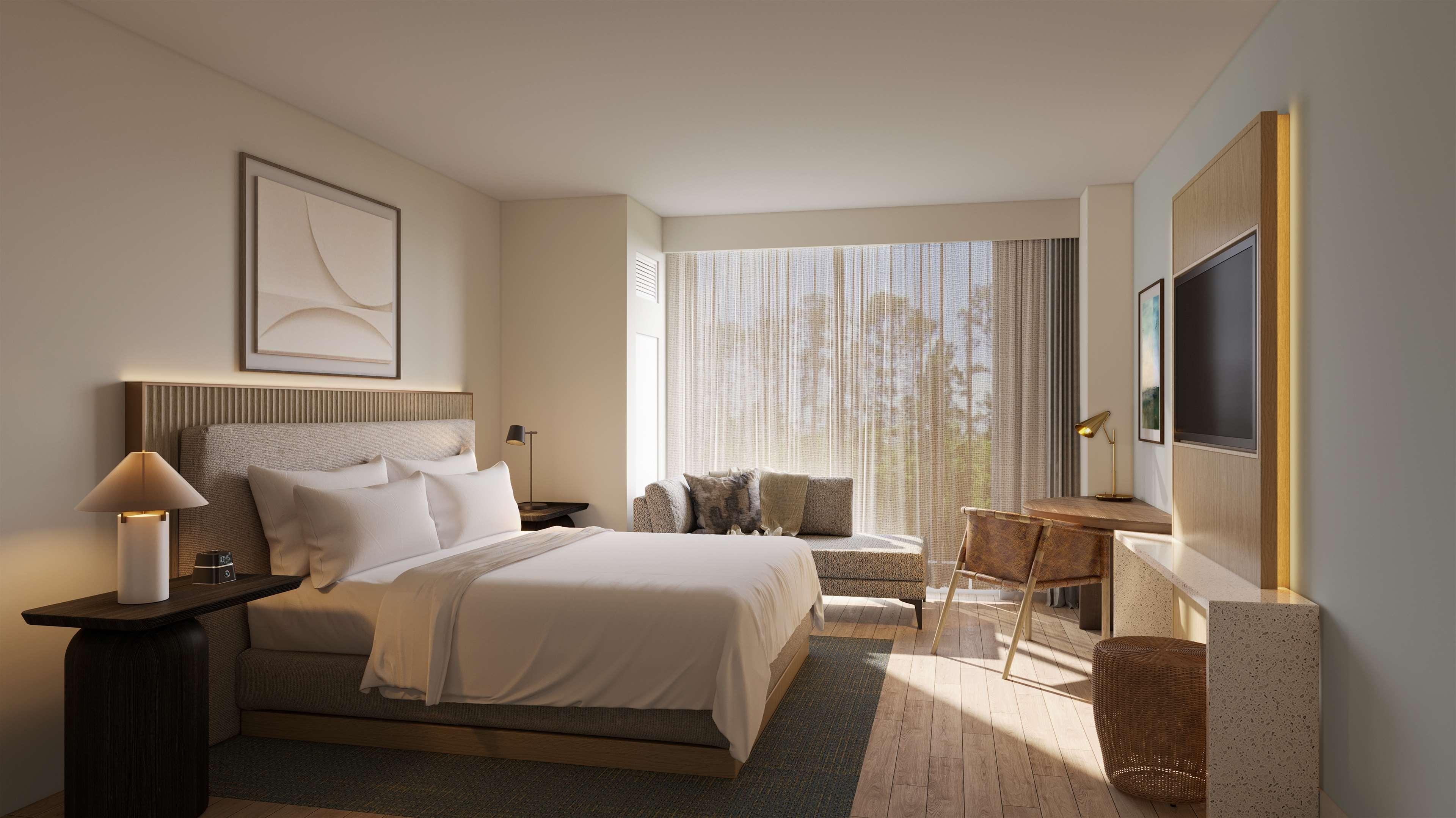 Double Accessible King Size Bed