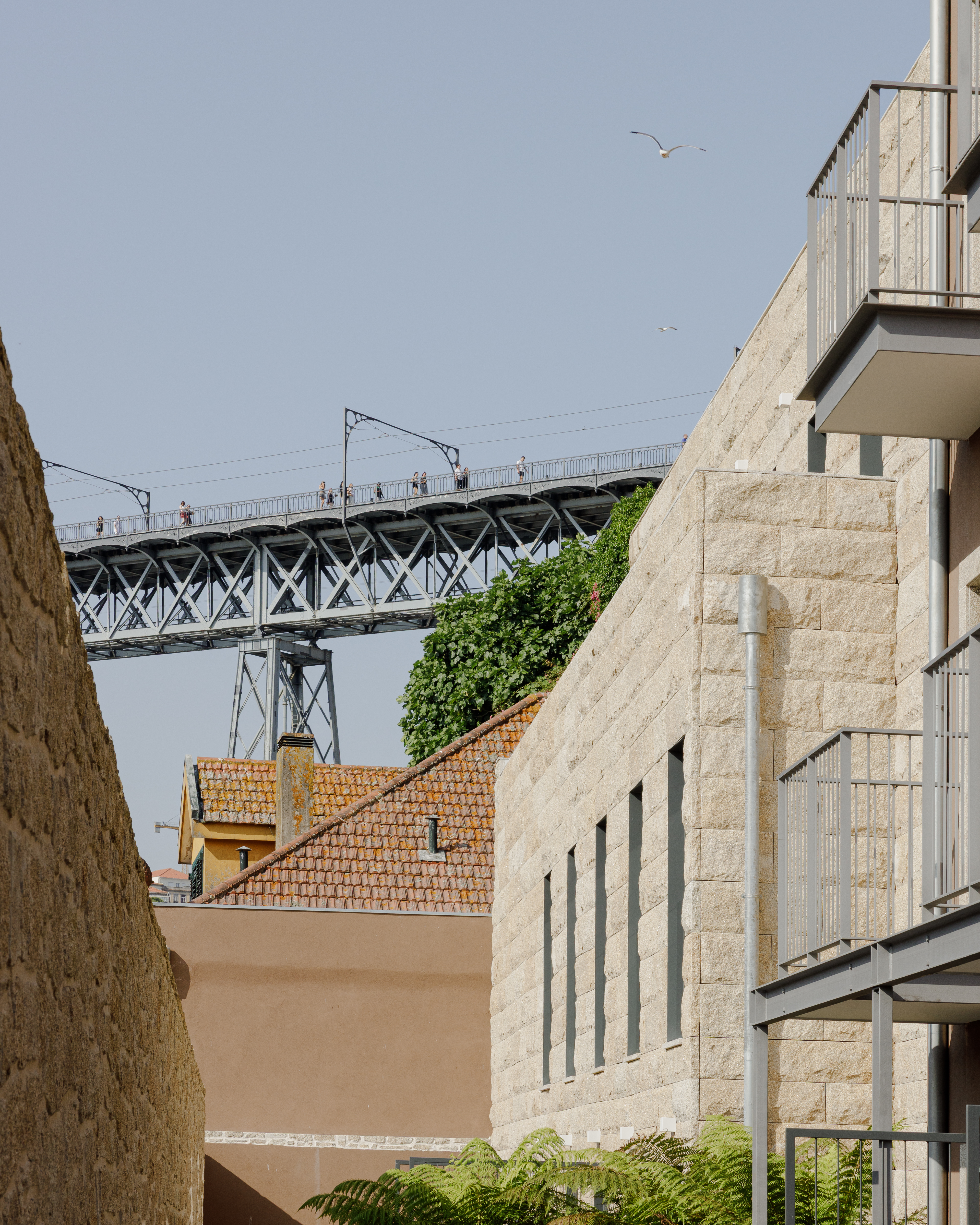 Double or Twin Basic