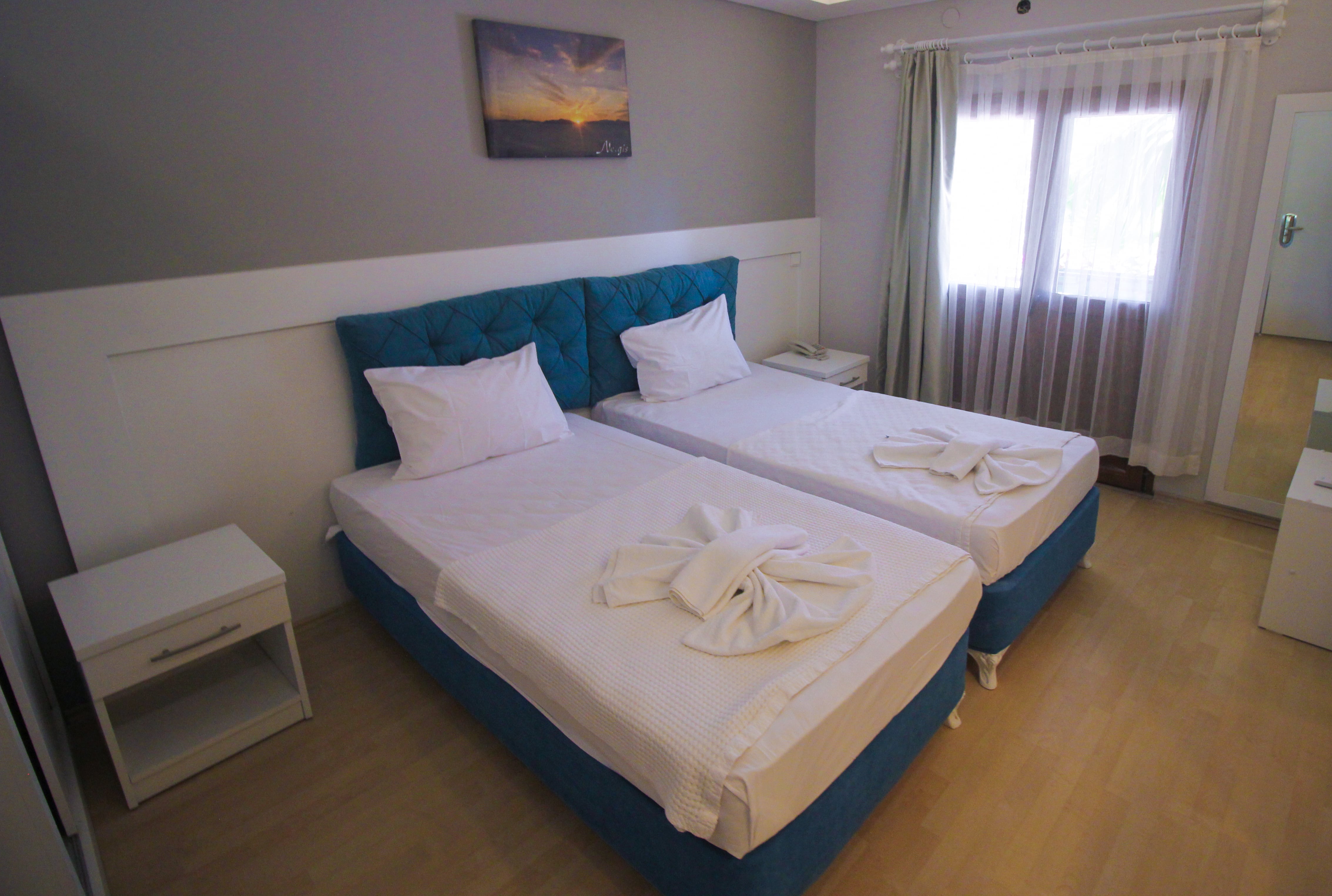 Double or Twin Standard