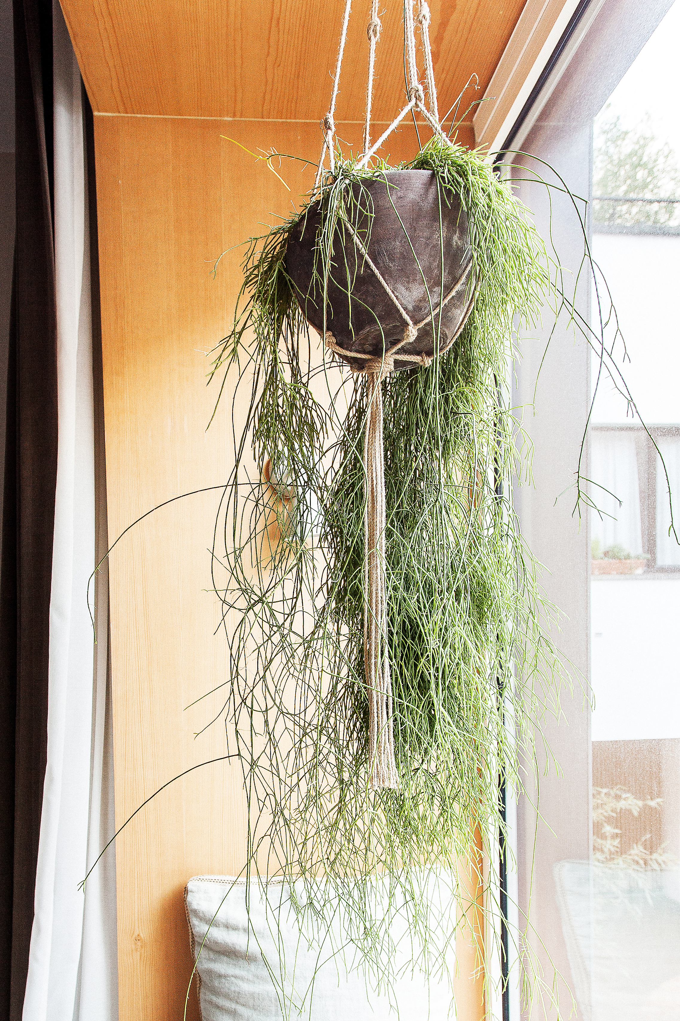 Double Deluxe Garden View