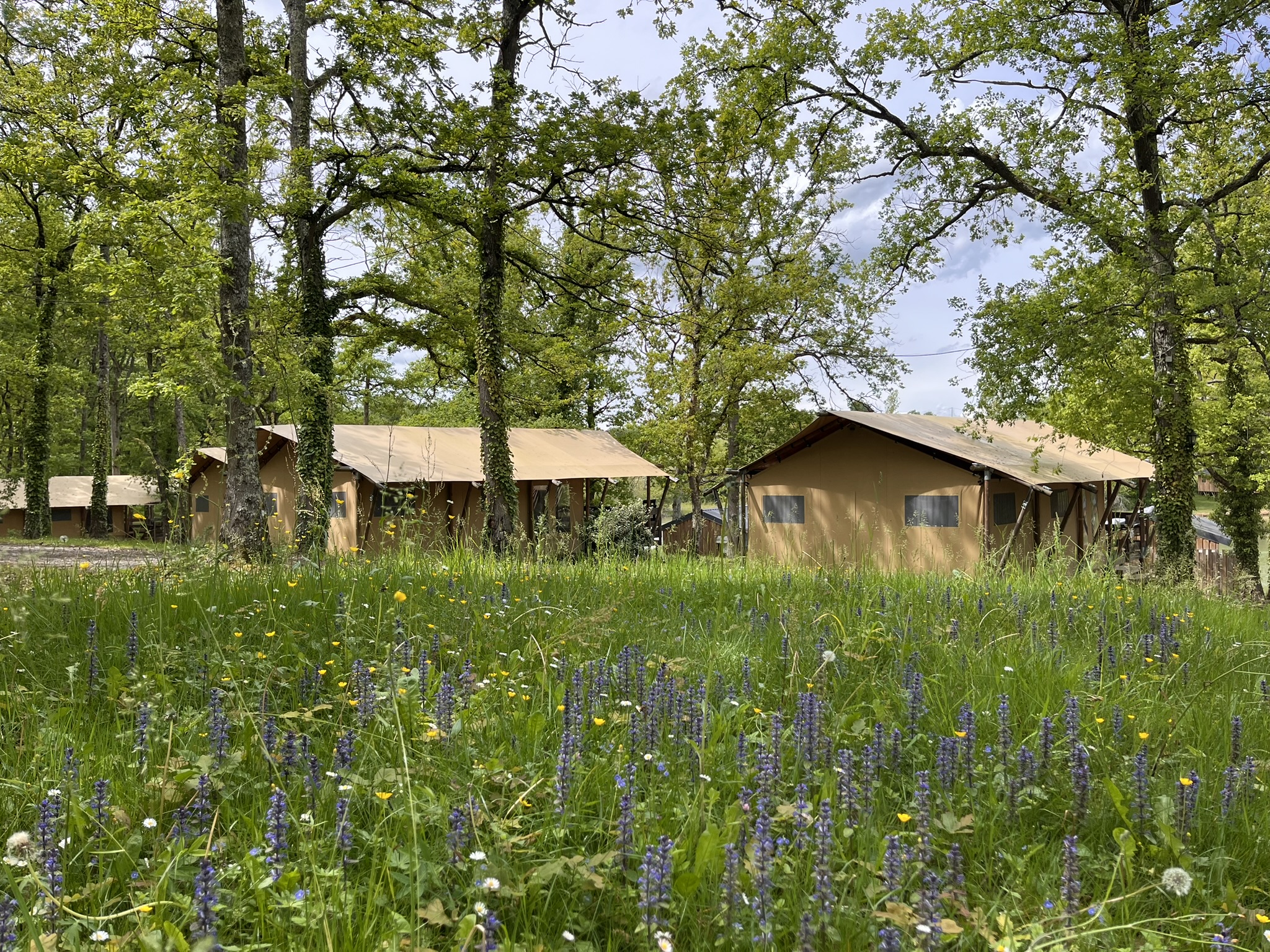 Bungalow Two Bedrooms One Bathroom