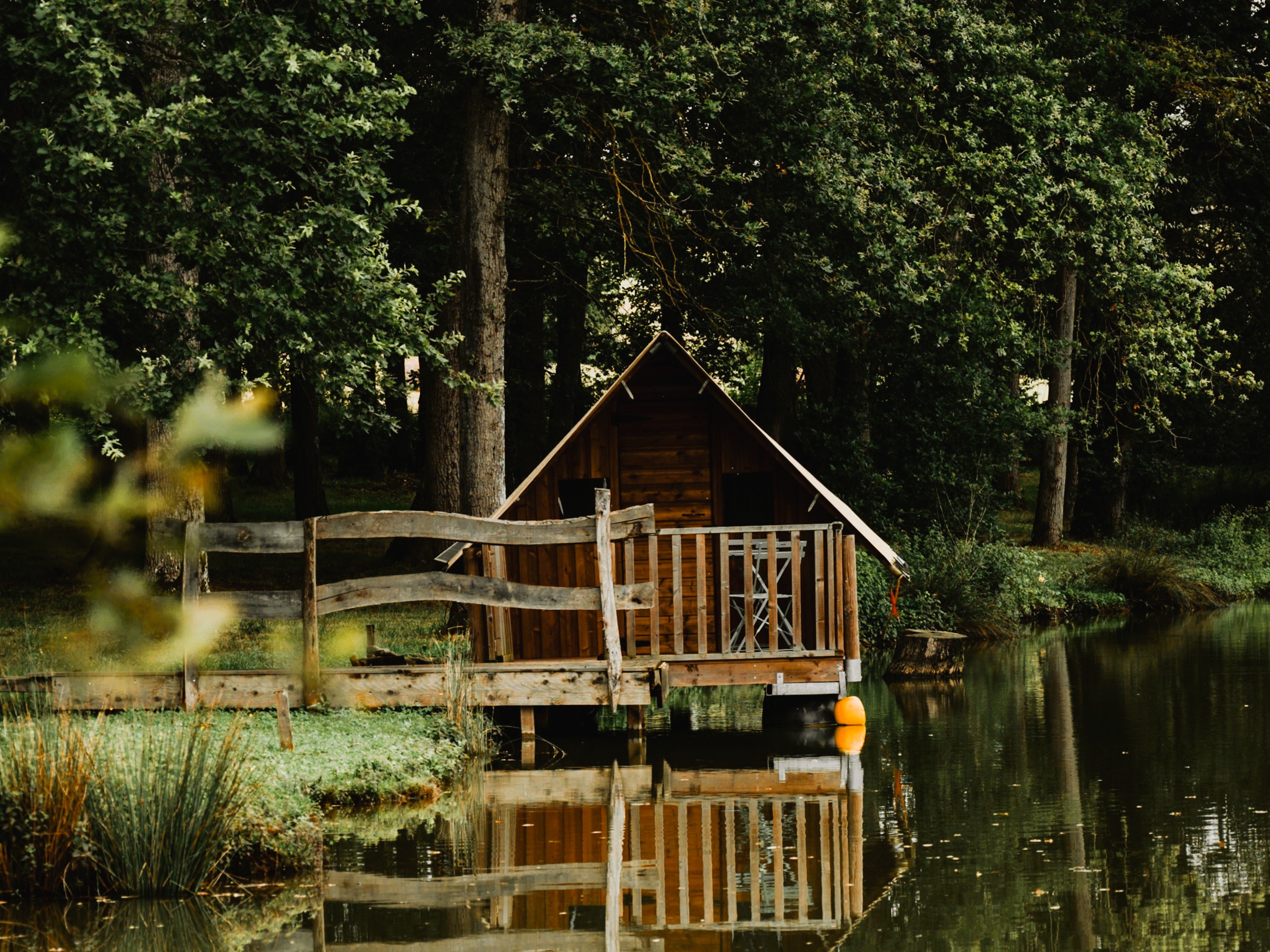 Cabin with Shared Bathroom with Views