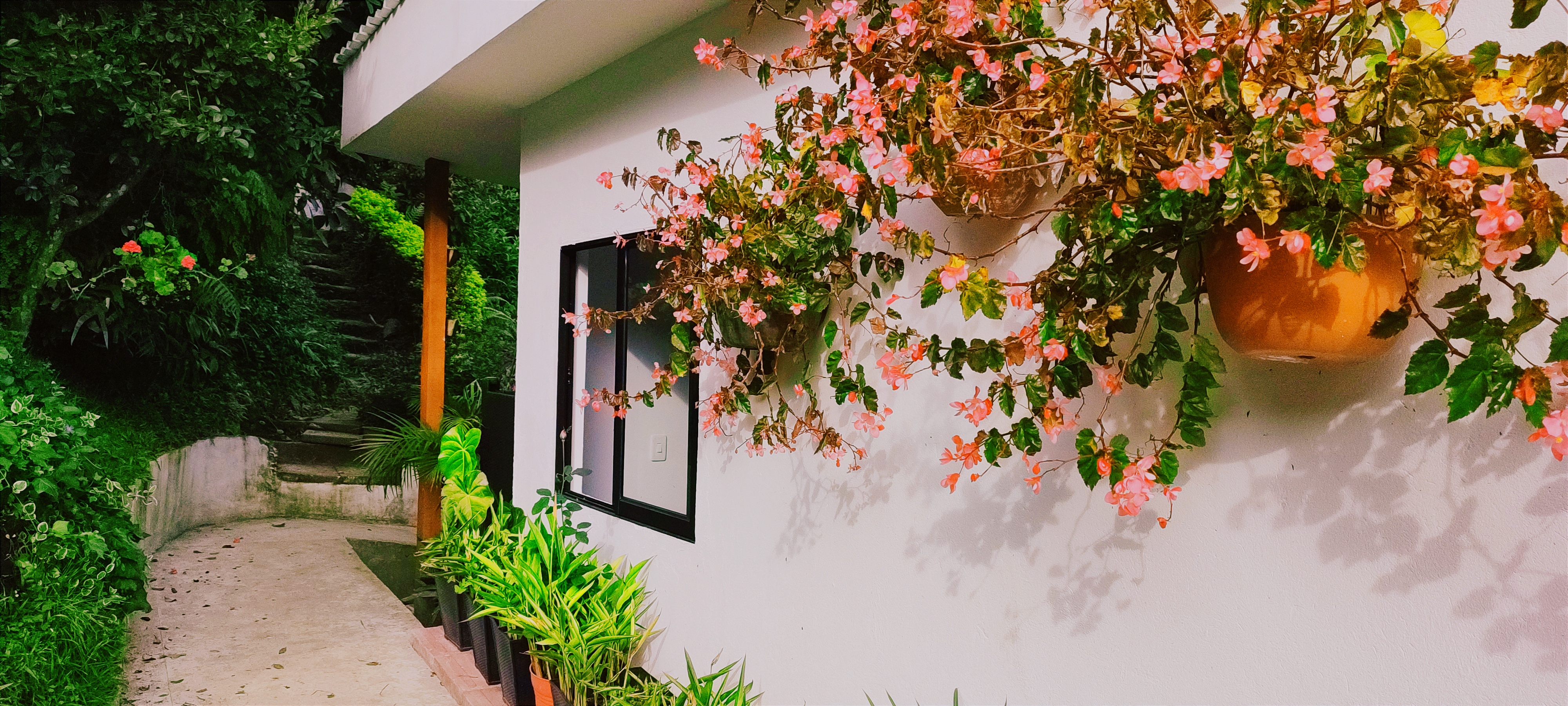 Triple Deluxe with Terrace