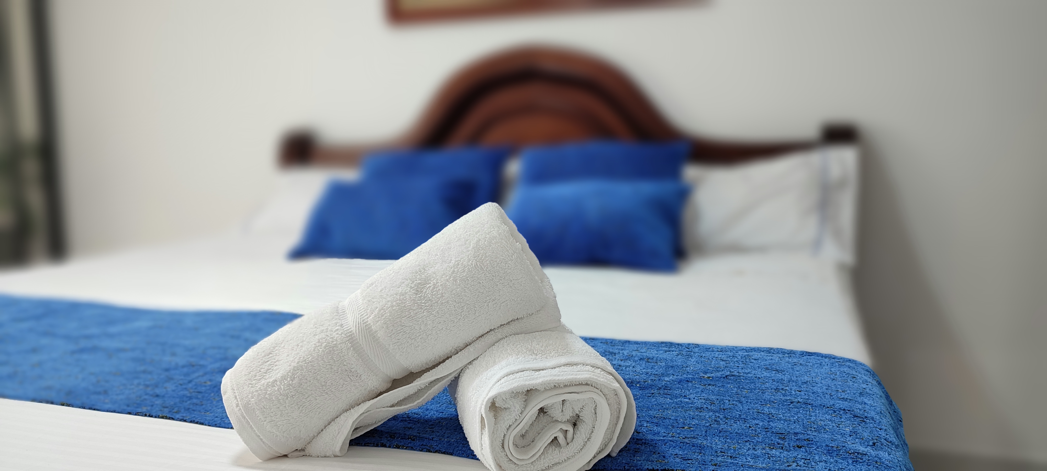 Triple Deluxe with Terrace