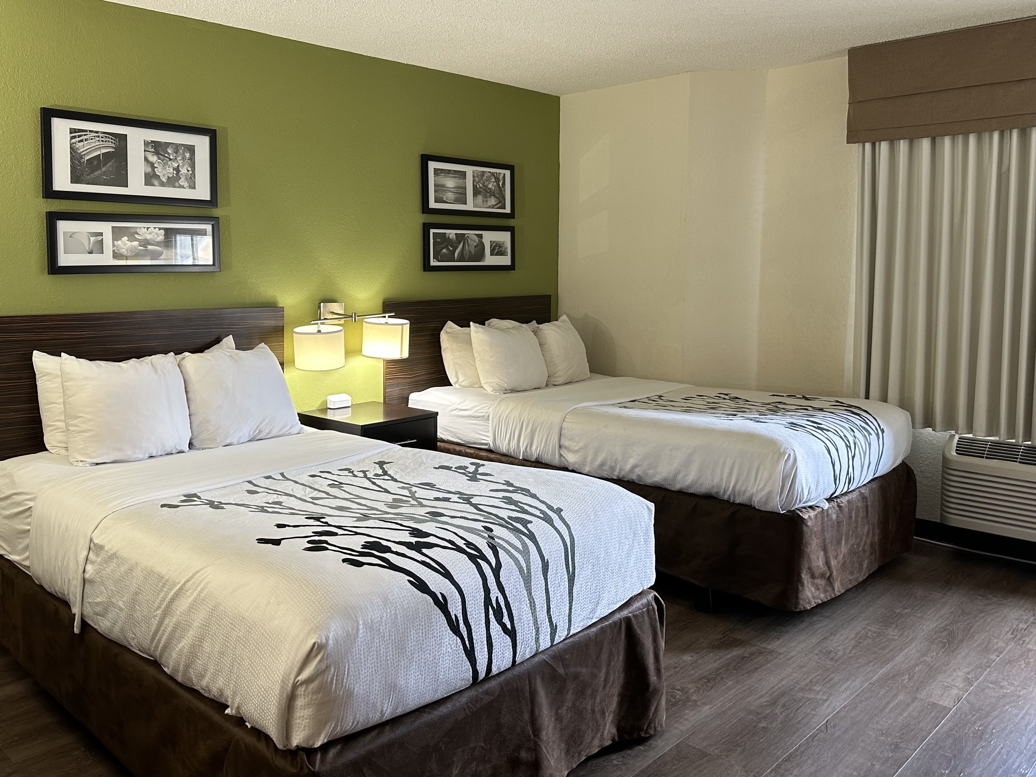 Room Two Double Beds