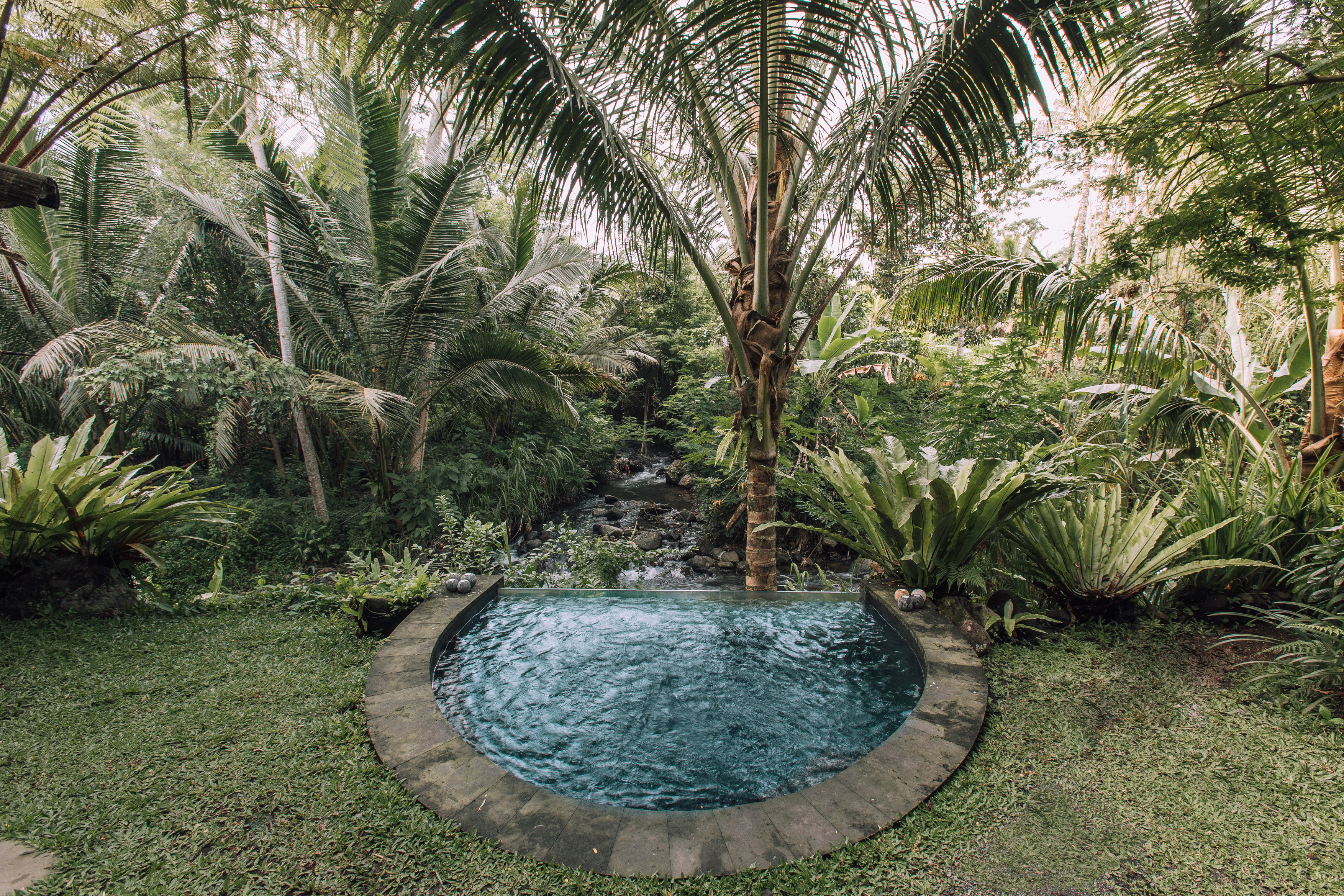 Double Deluxe Pool View