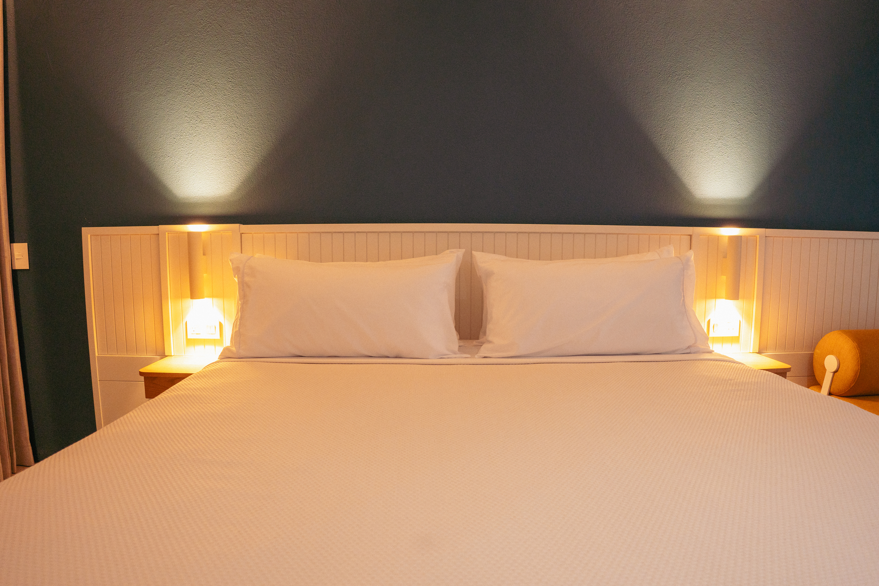 Suite King Bed One Bedroom 