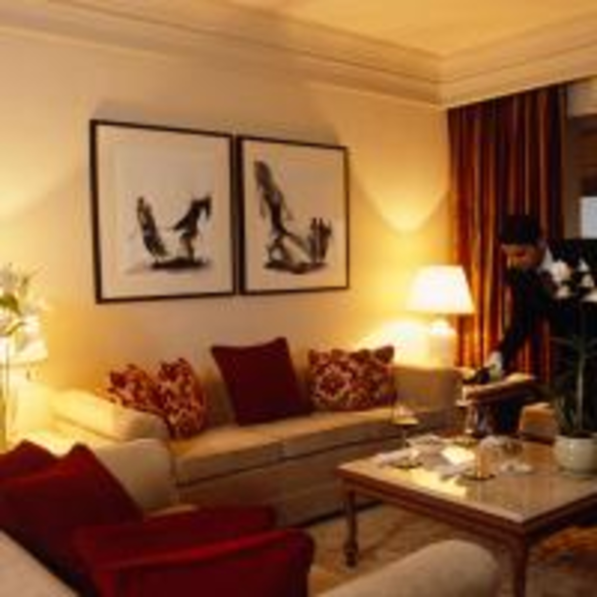 Suite Luxury One Bedroom