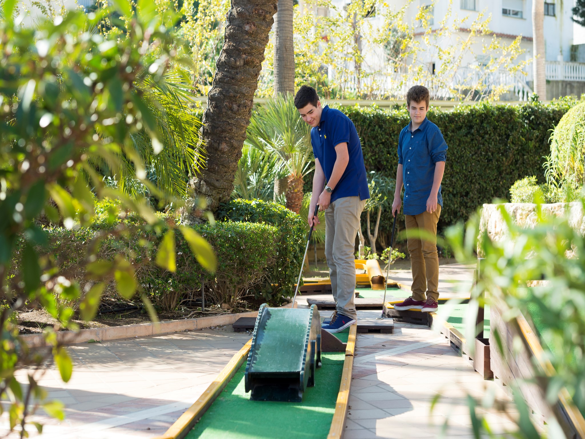 Sports and Entertainment