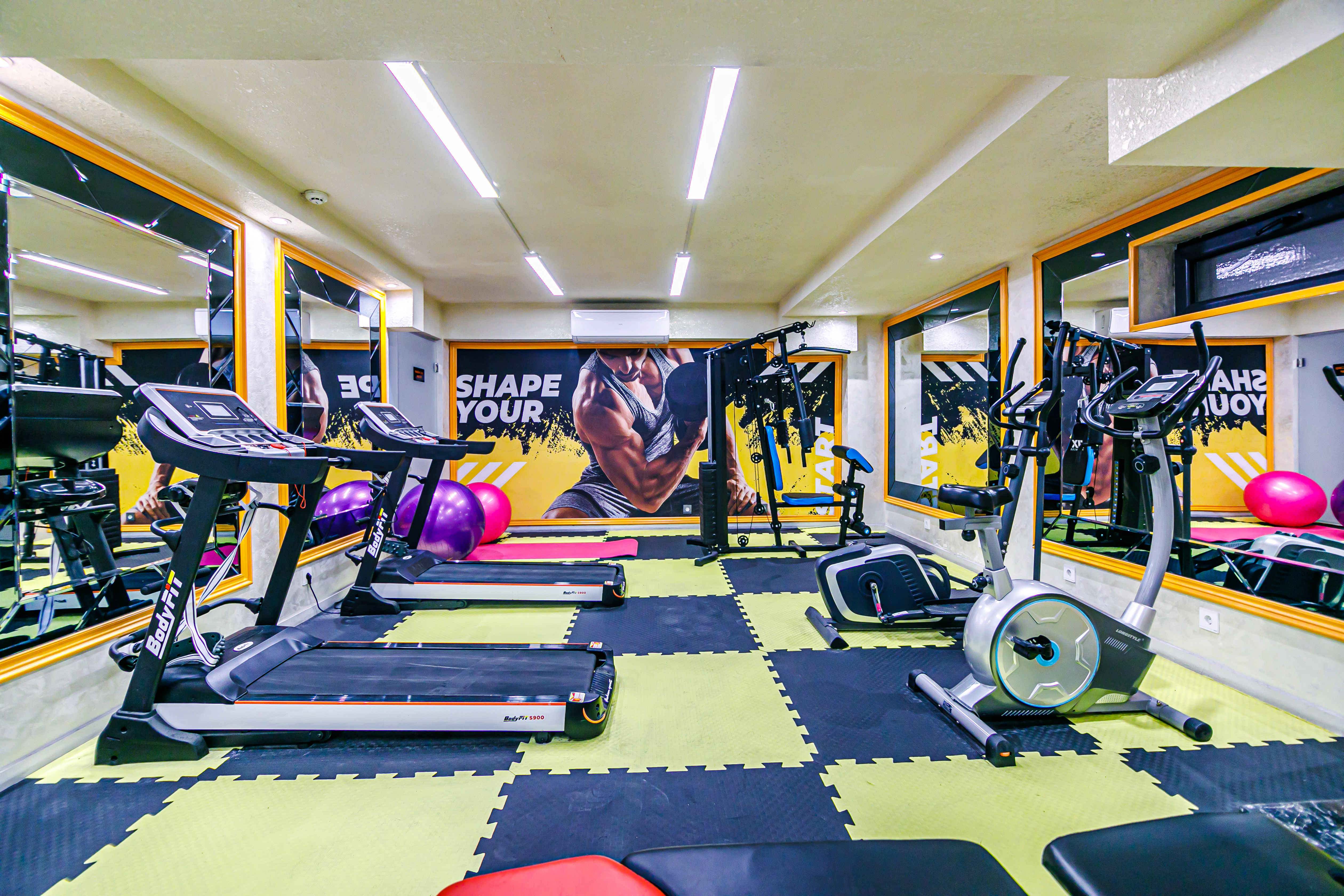 Sports and Entertainment