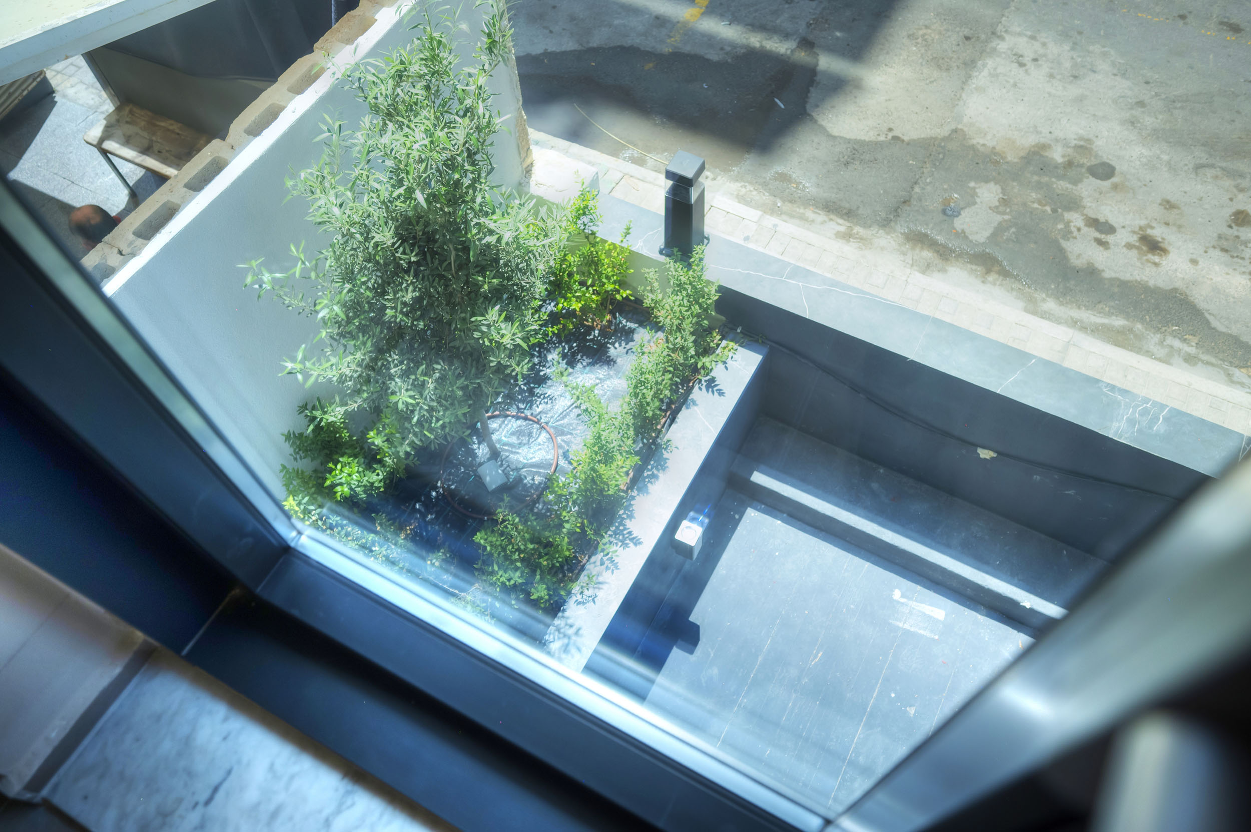 Double or Twin Economy