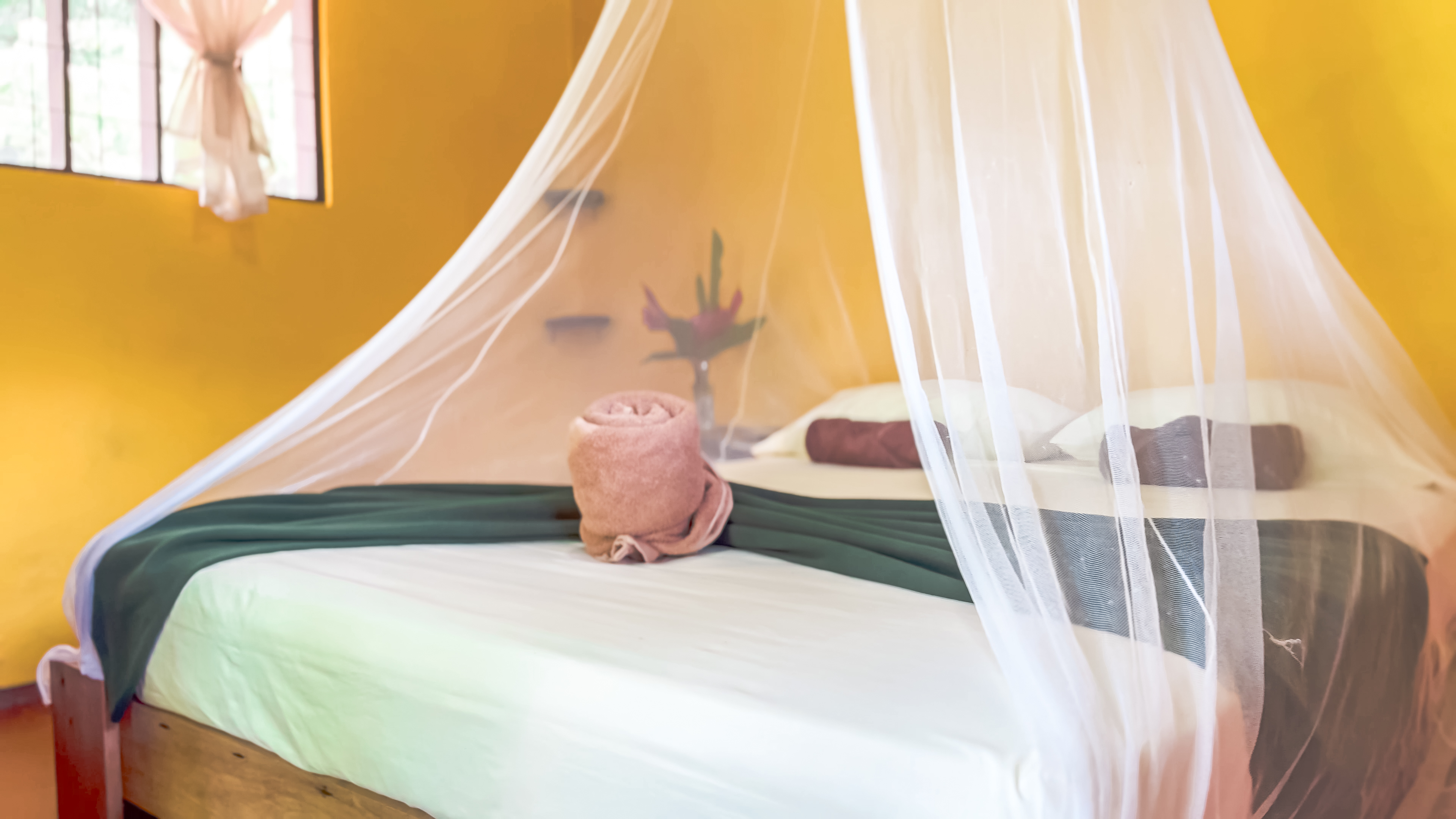 Double Single Two Beds