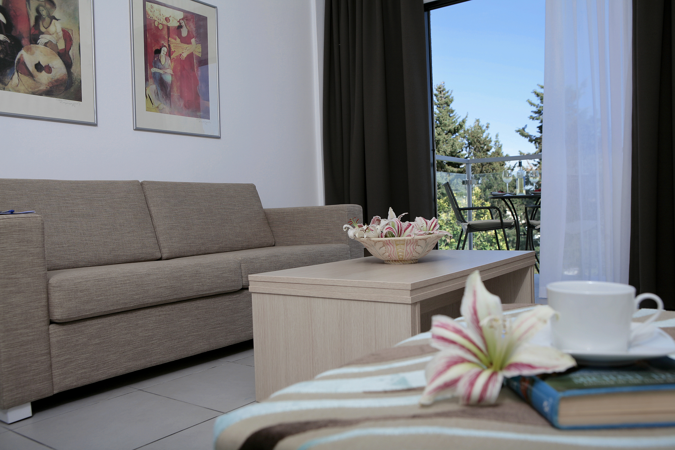 Apartment Superior One Bedroom