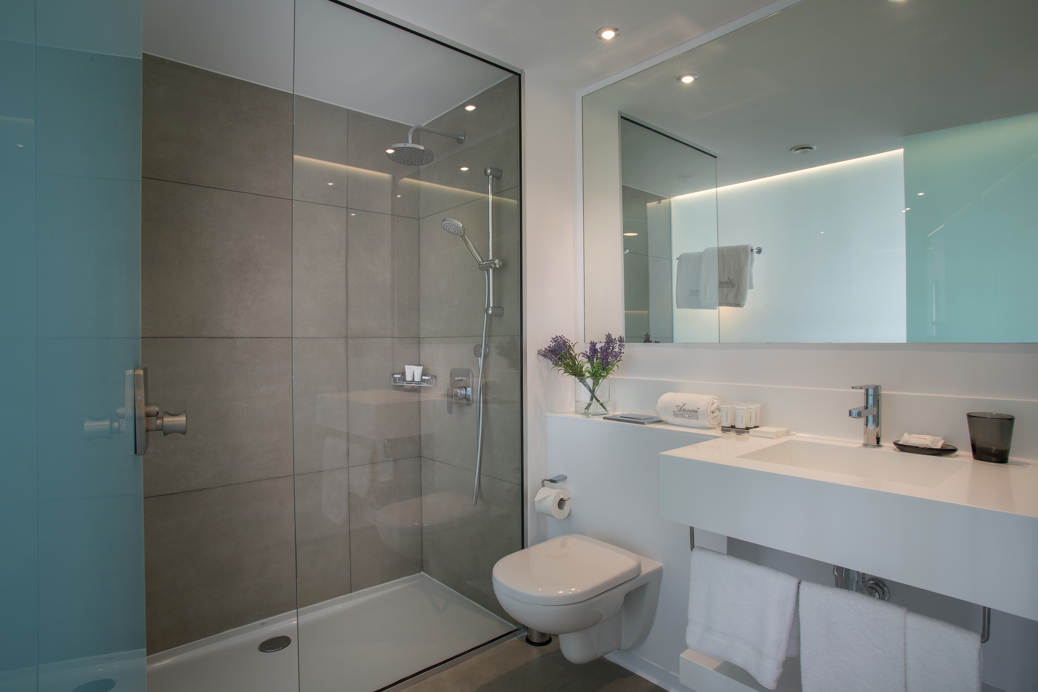 Apartment Deluxe One Bedroom