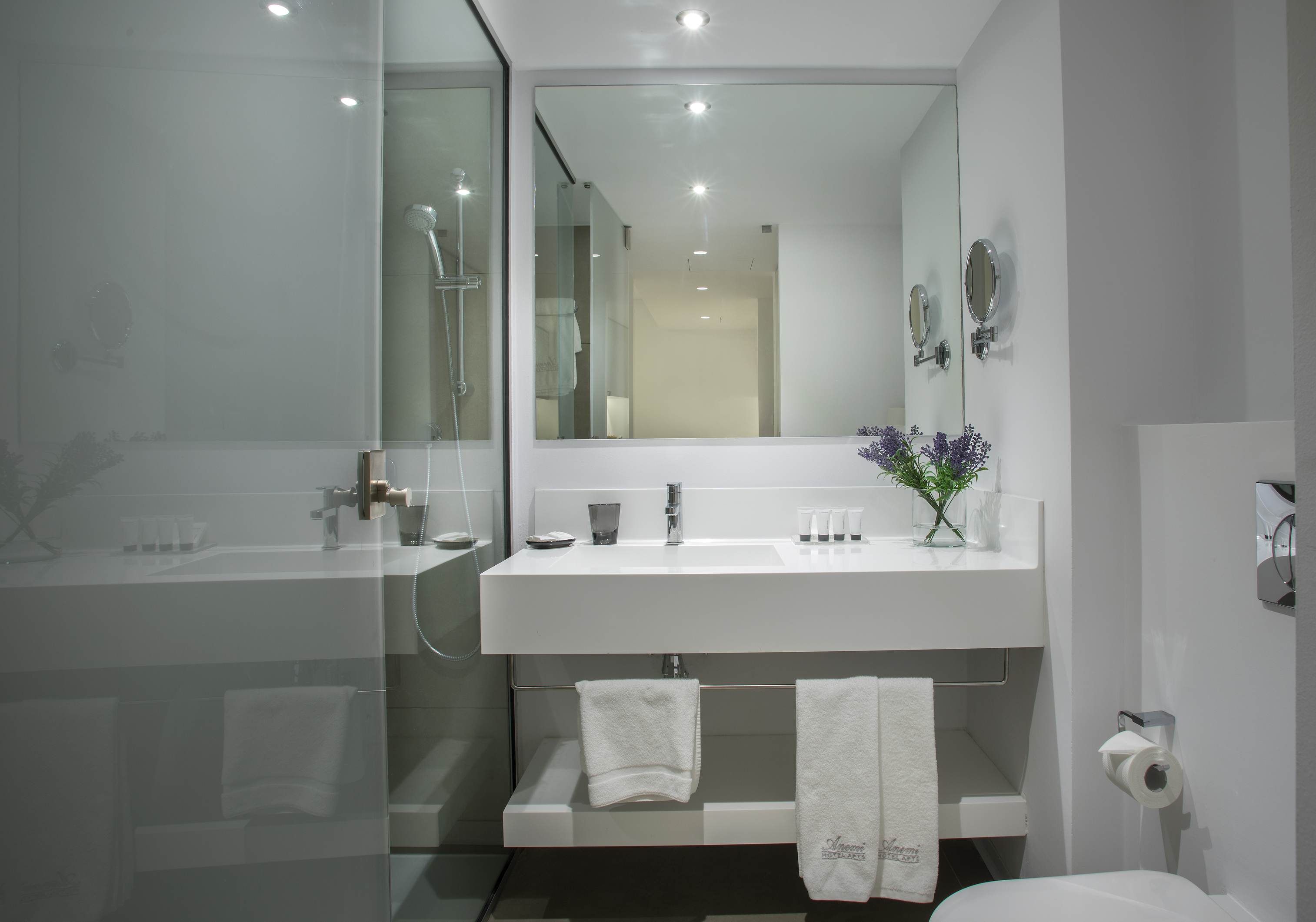 Apartment Deluxe One Bedroom