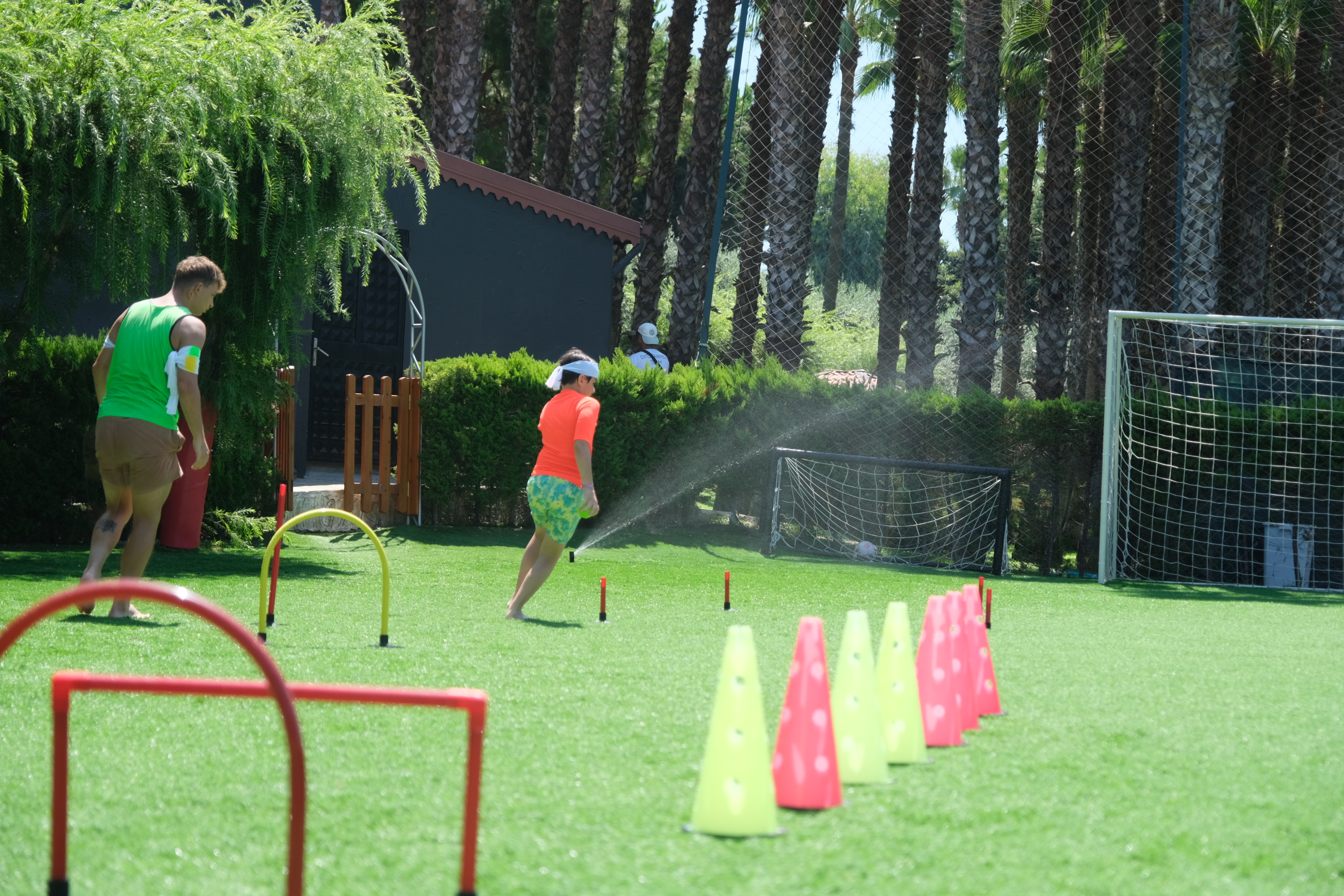 Sports and Entertainment