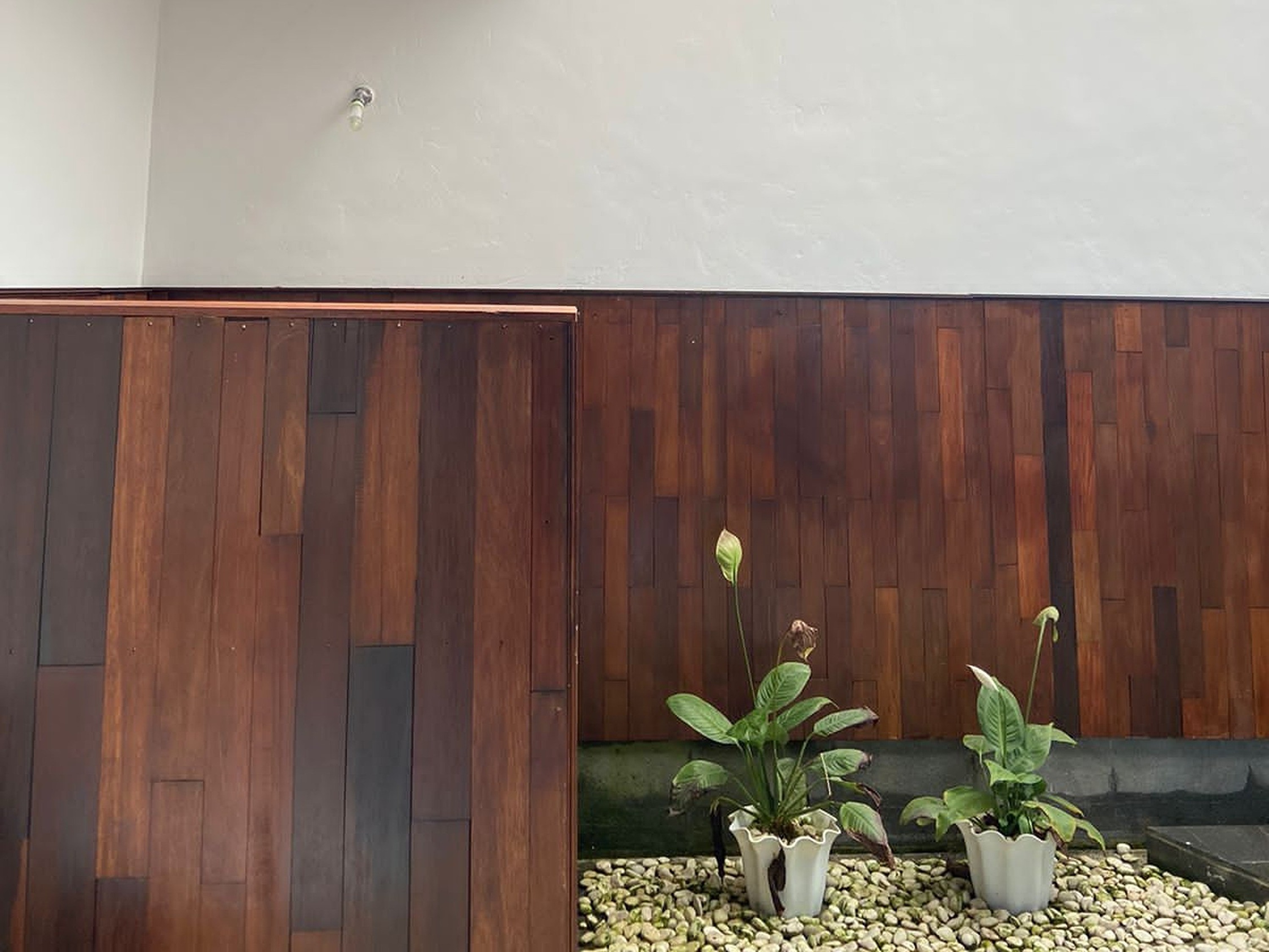 Studio Deluxe Mountain View