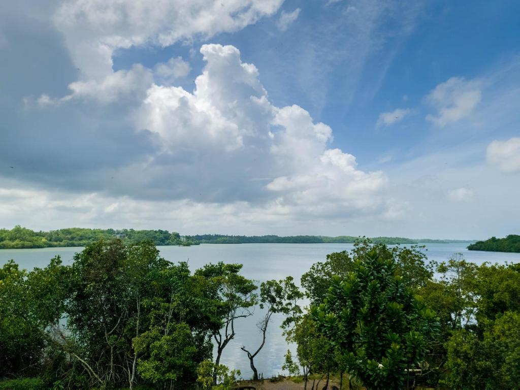 Double Superior Lake View