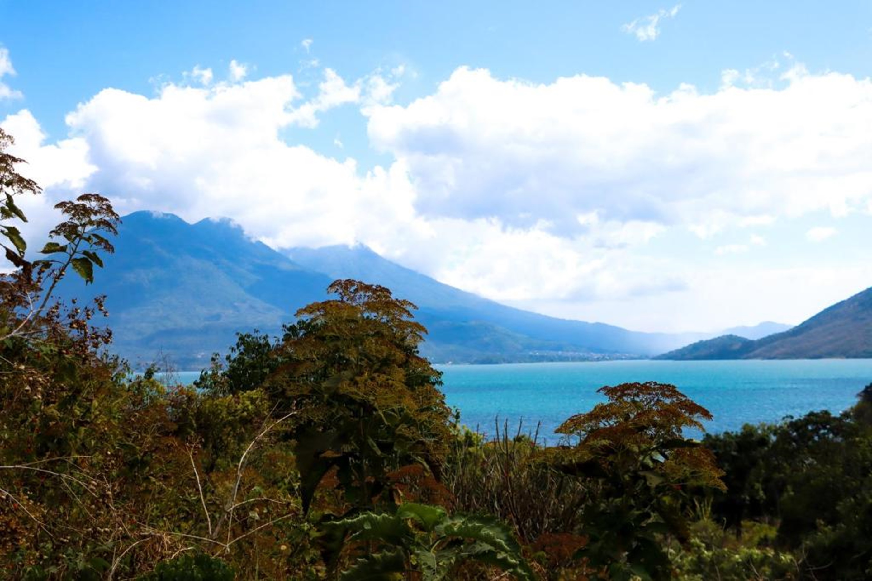 Twin One Bedroom One Bathroom