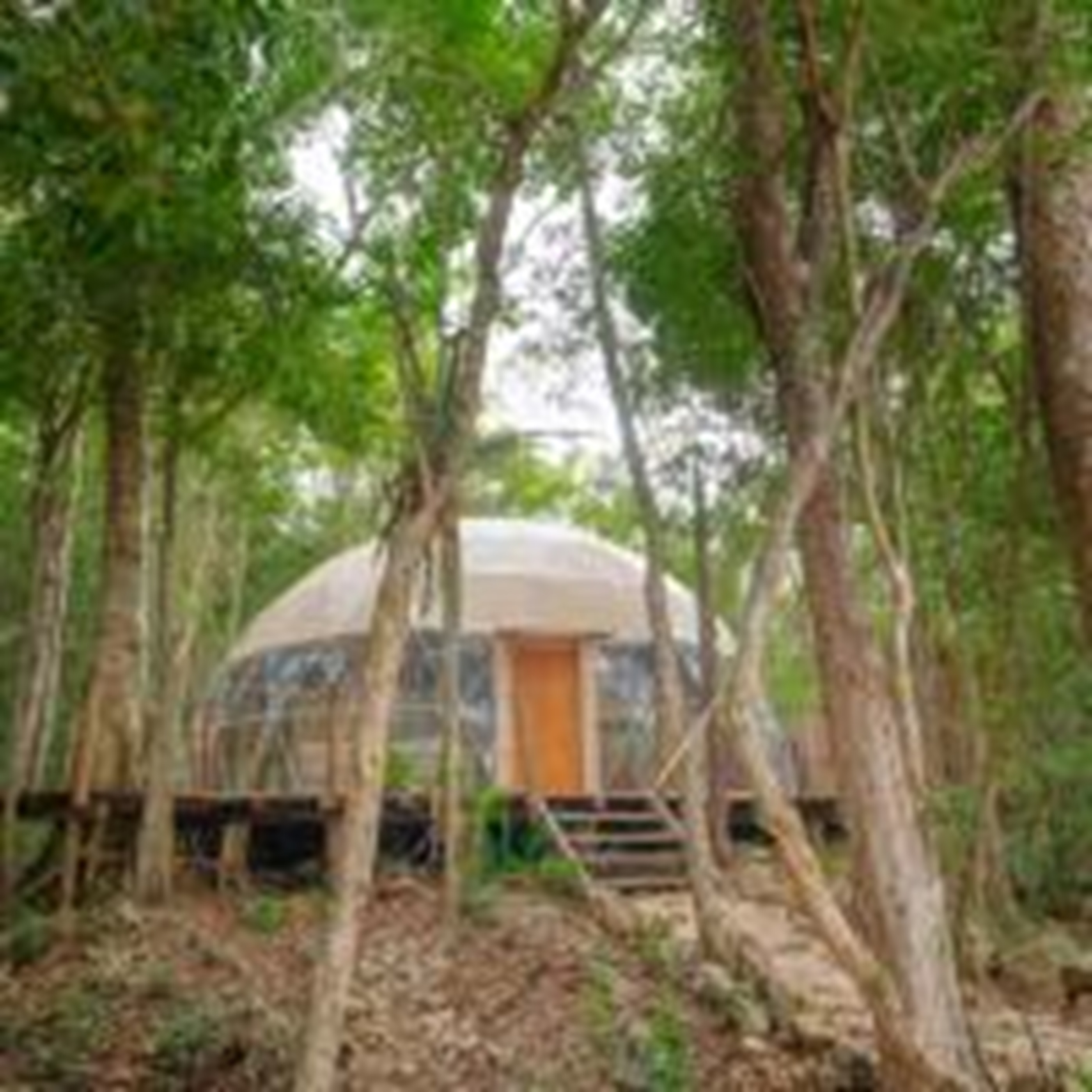 Suite One Bedroom One Bathroom