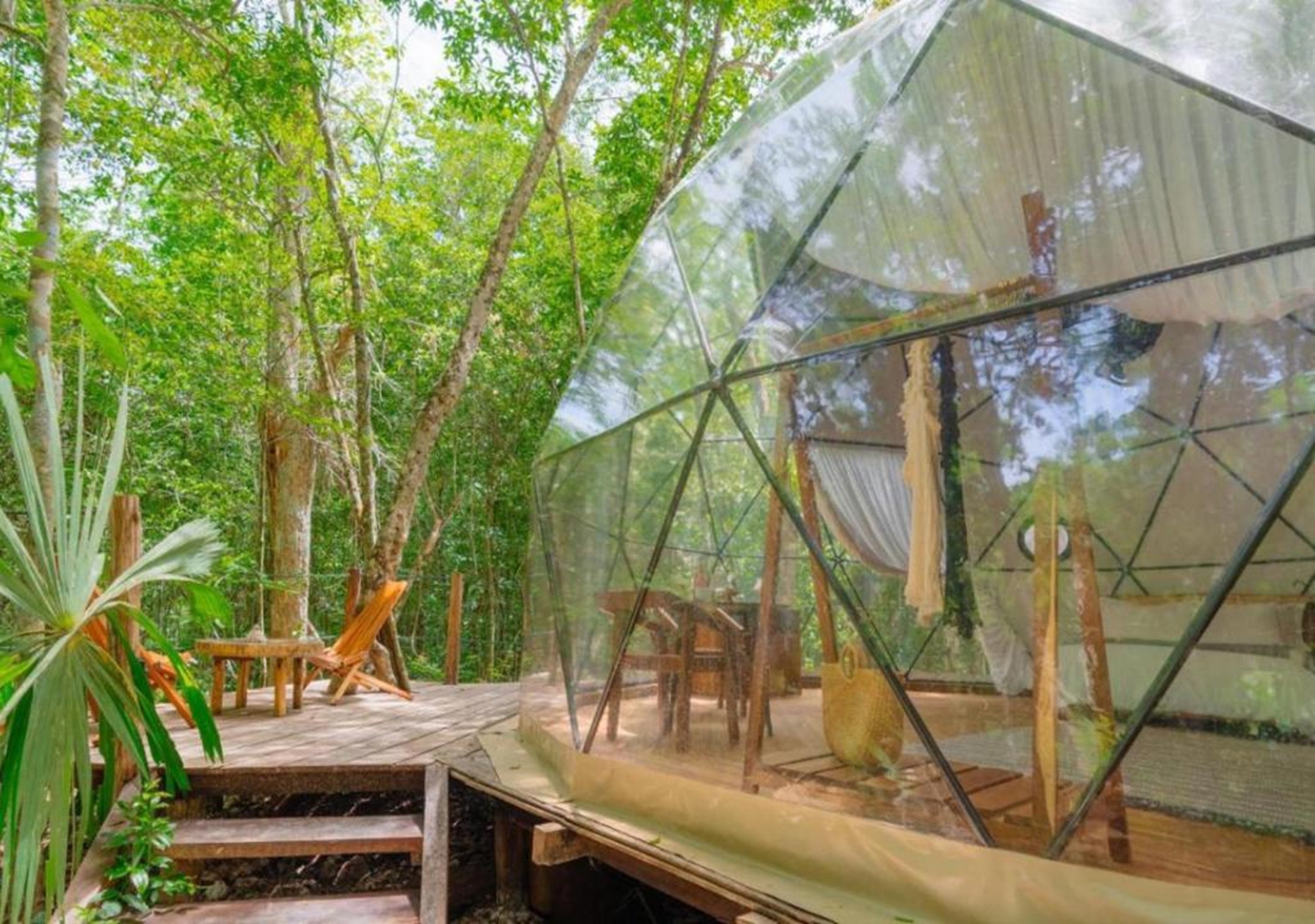 Quadruple One Bedroom One Bathroom