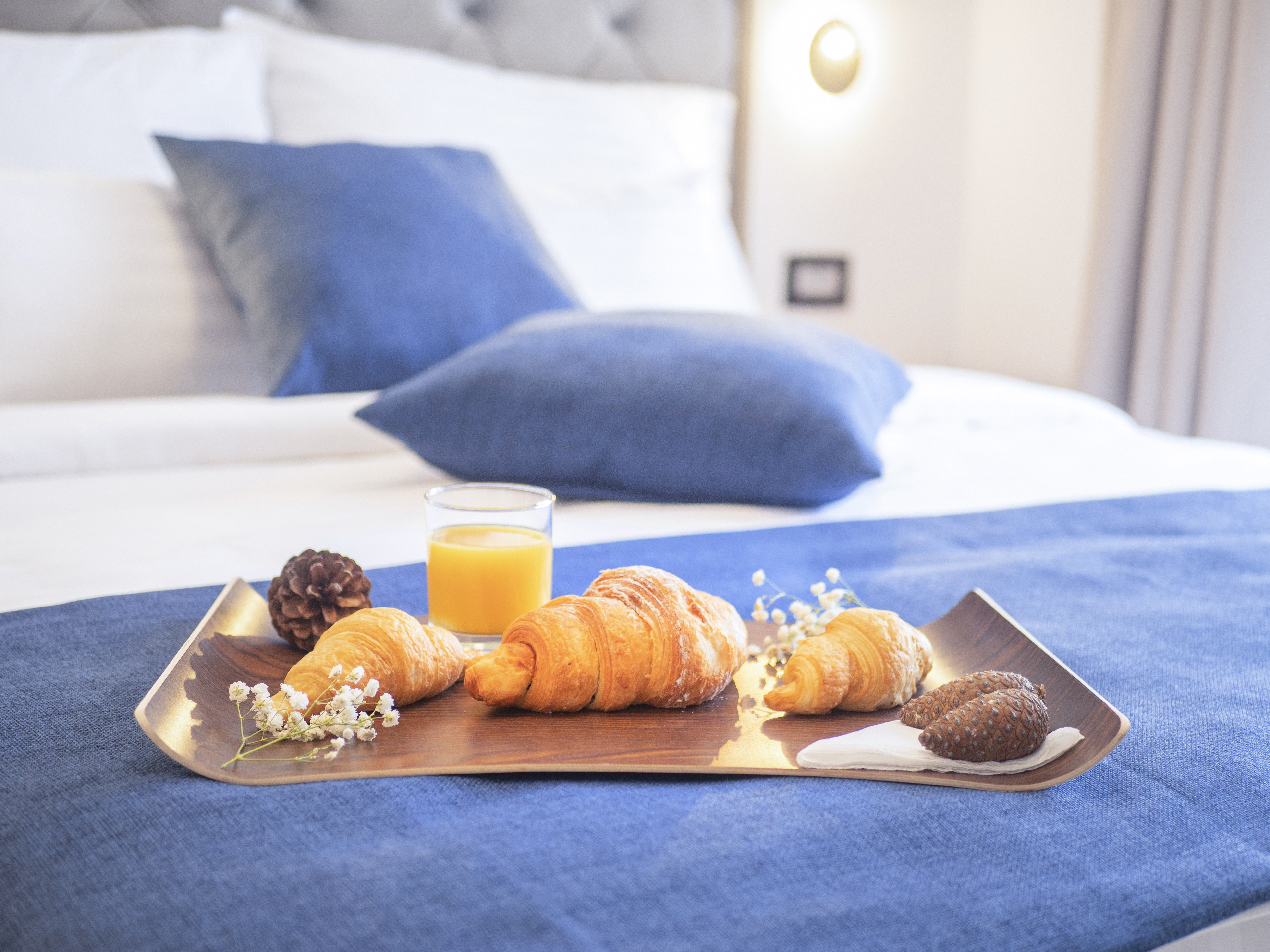 Double or Twin Superior