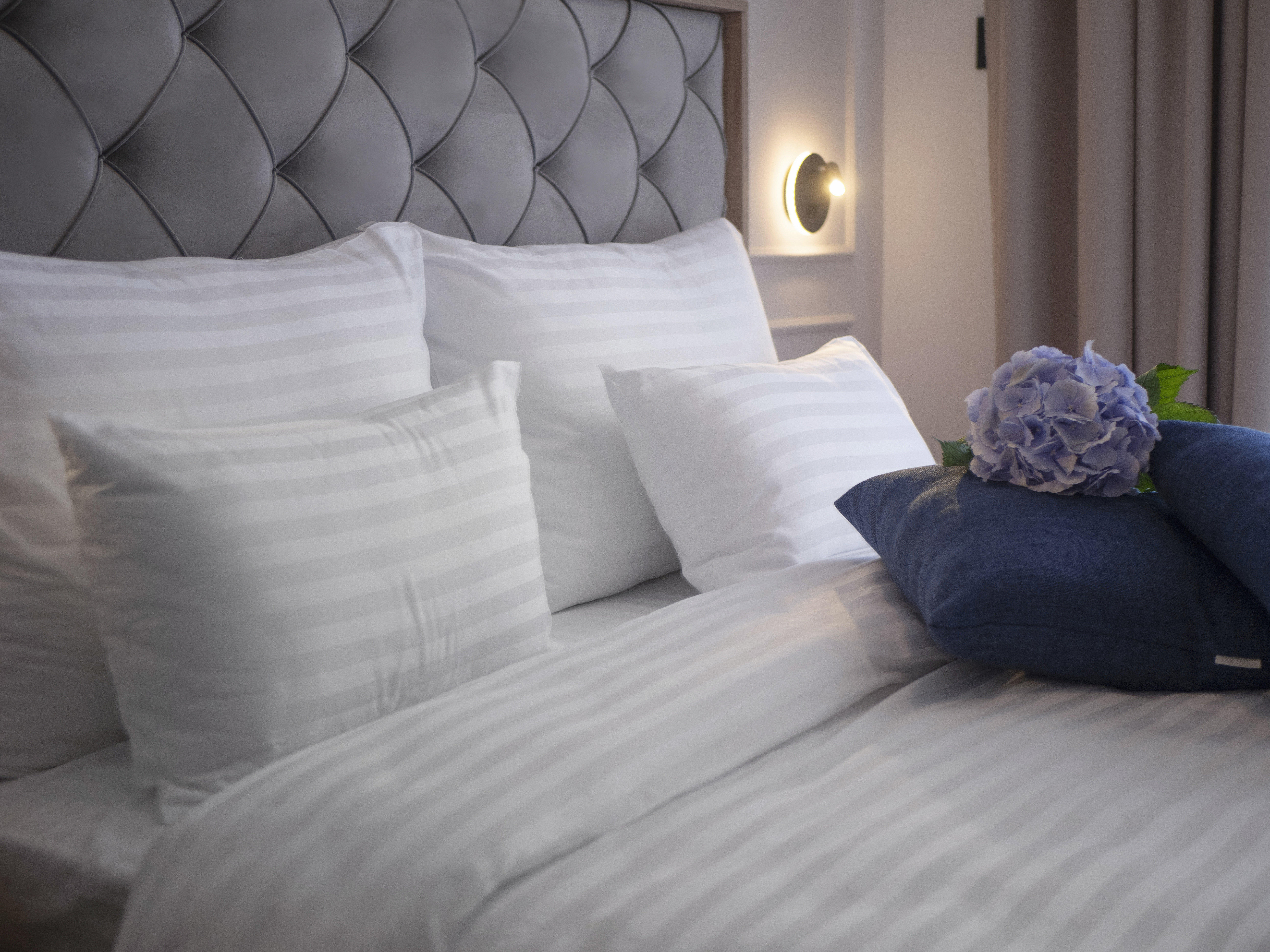 Apartment One Bedroom