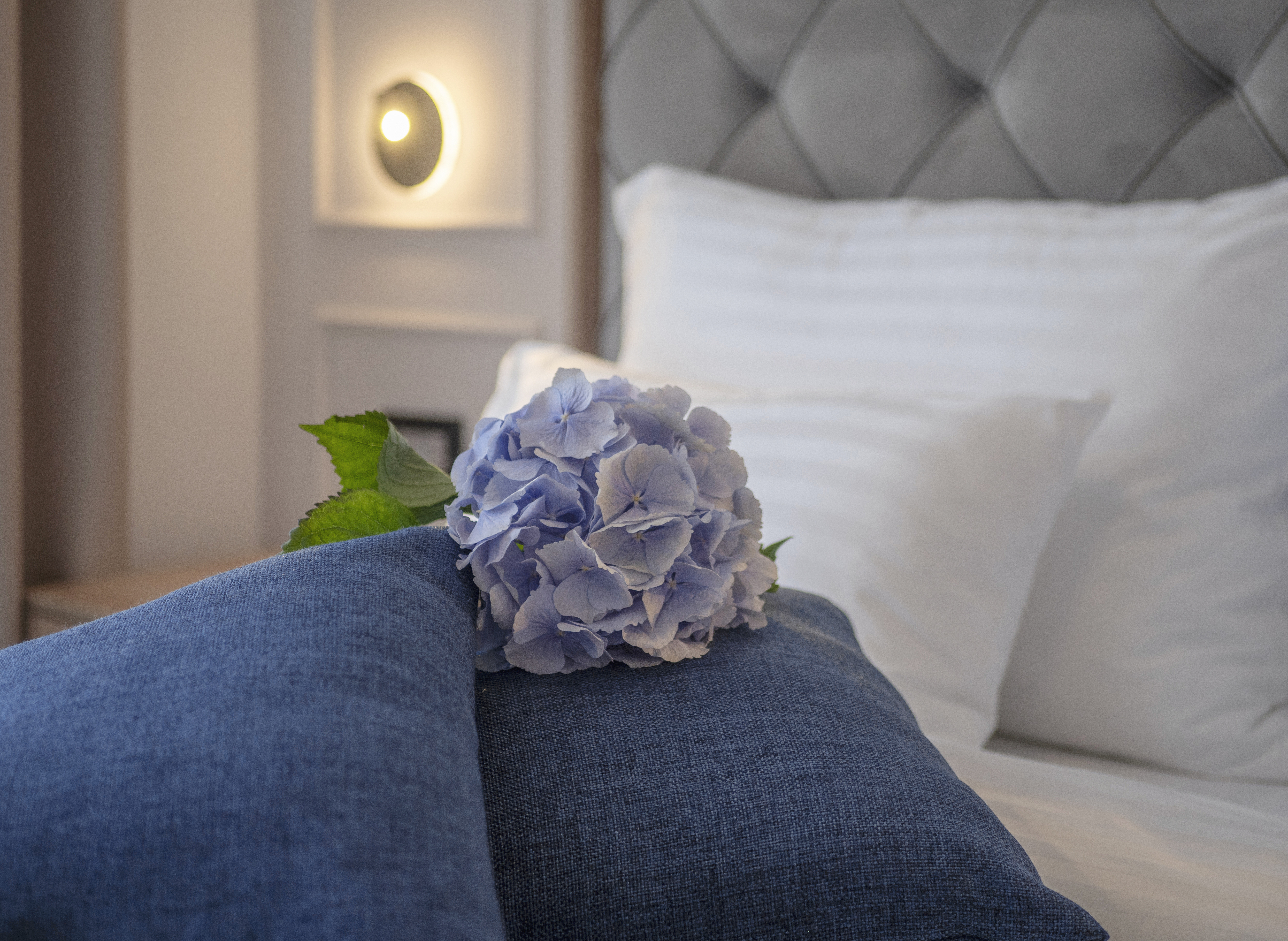 Apartment One Bedroom