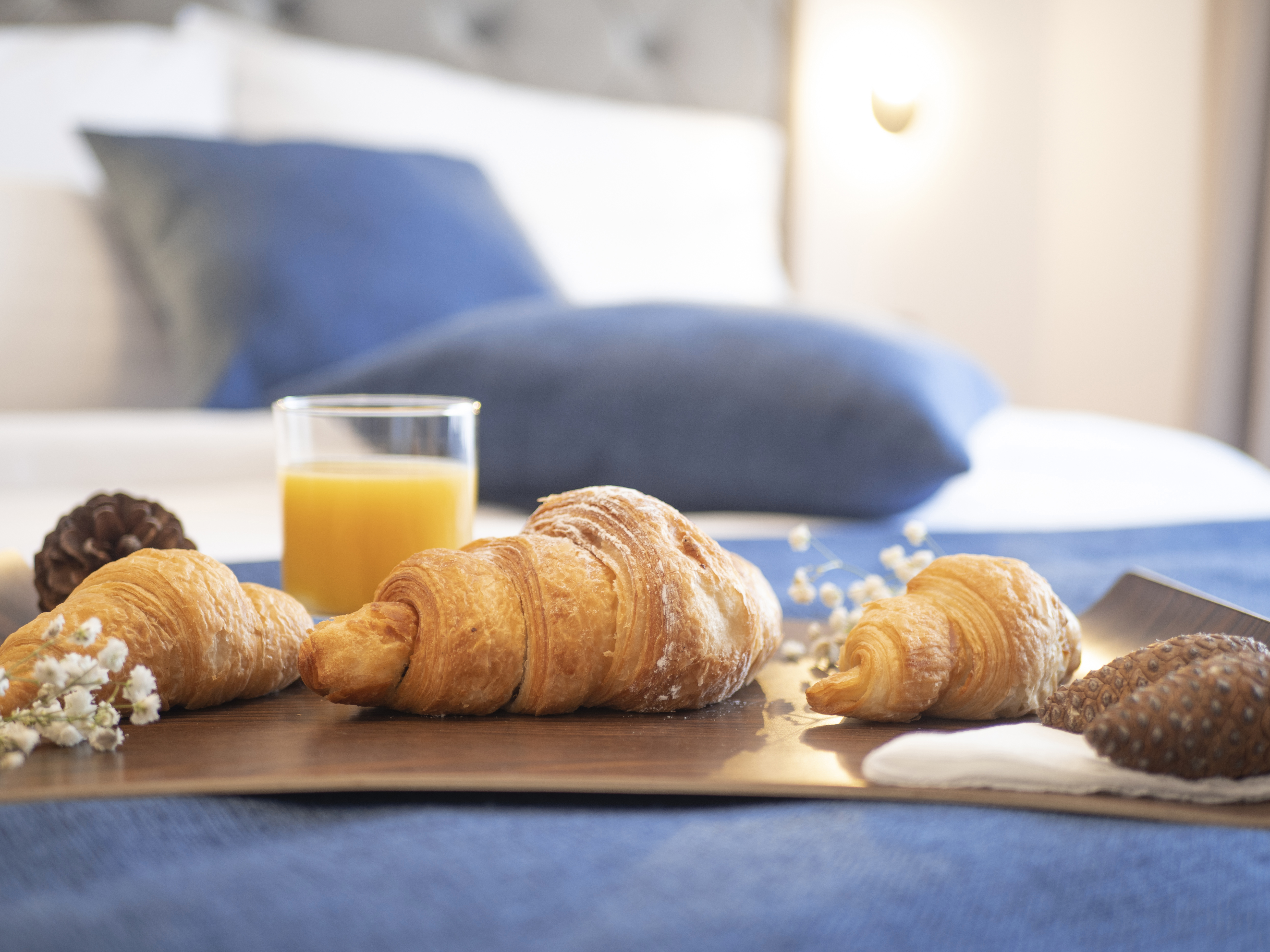 Apartment One Bedroom