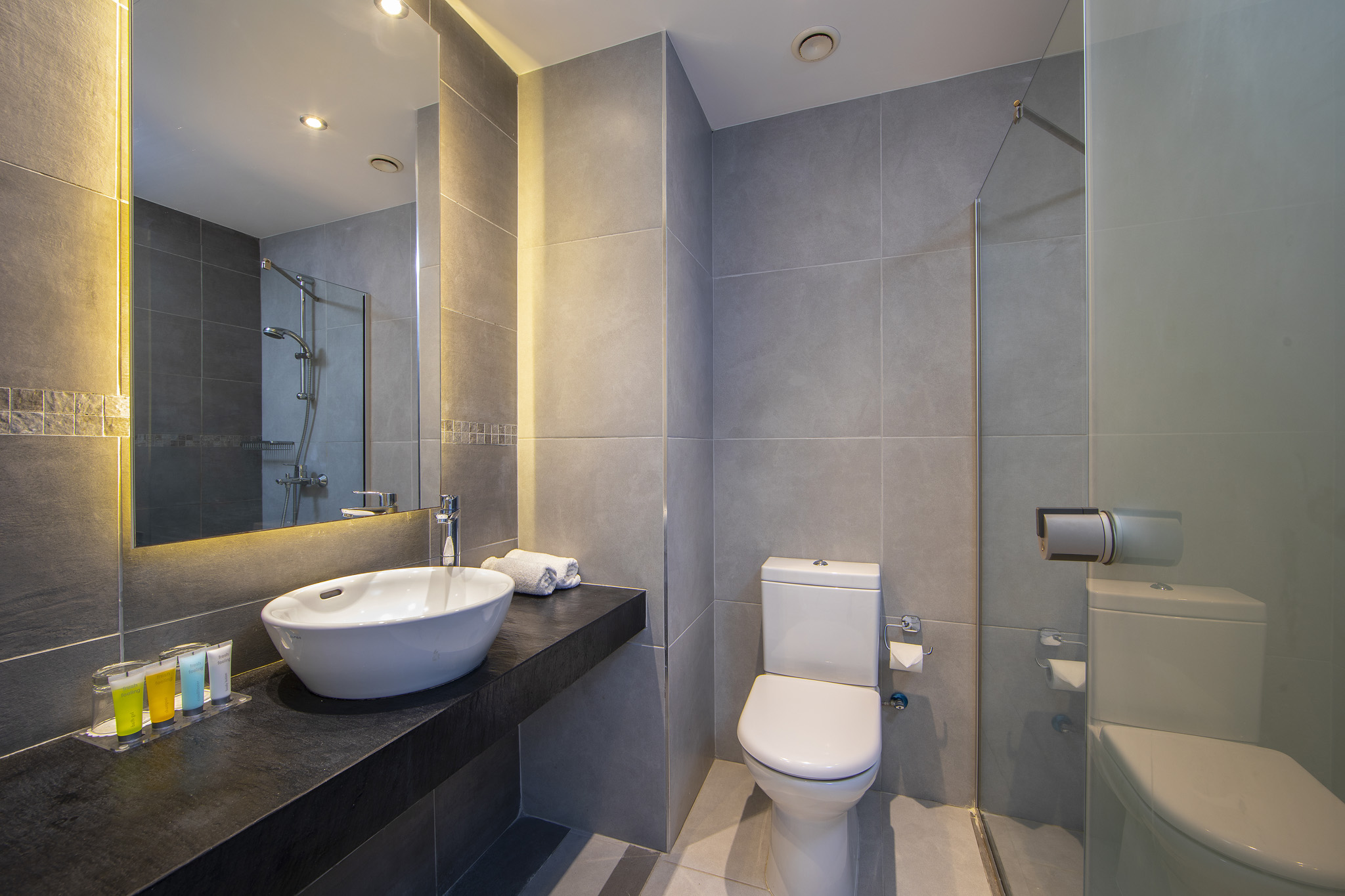 Double or Twin Superior