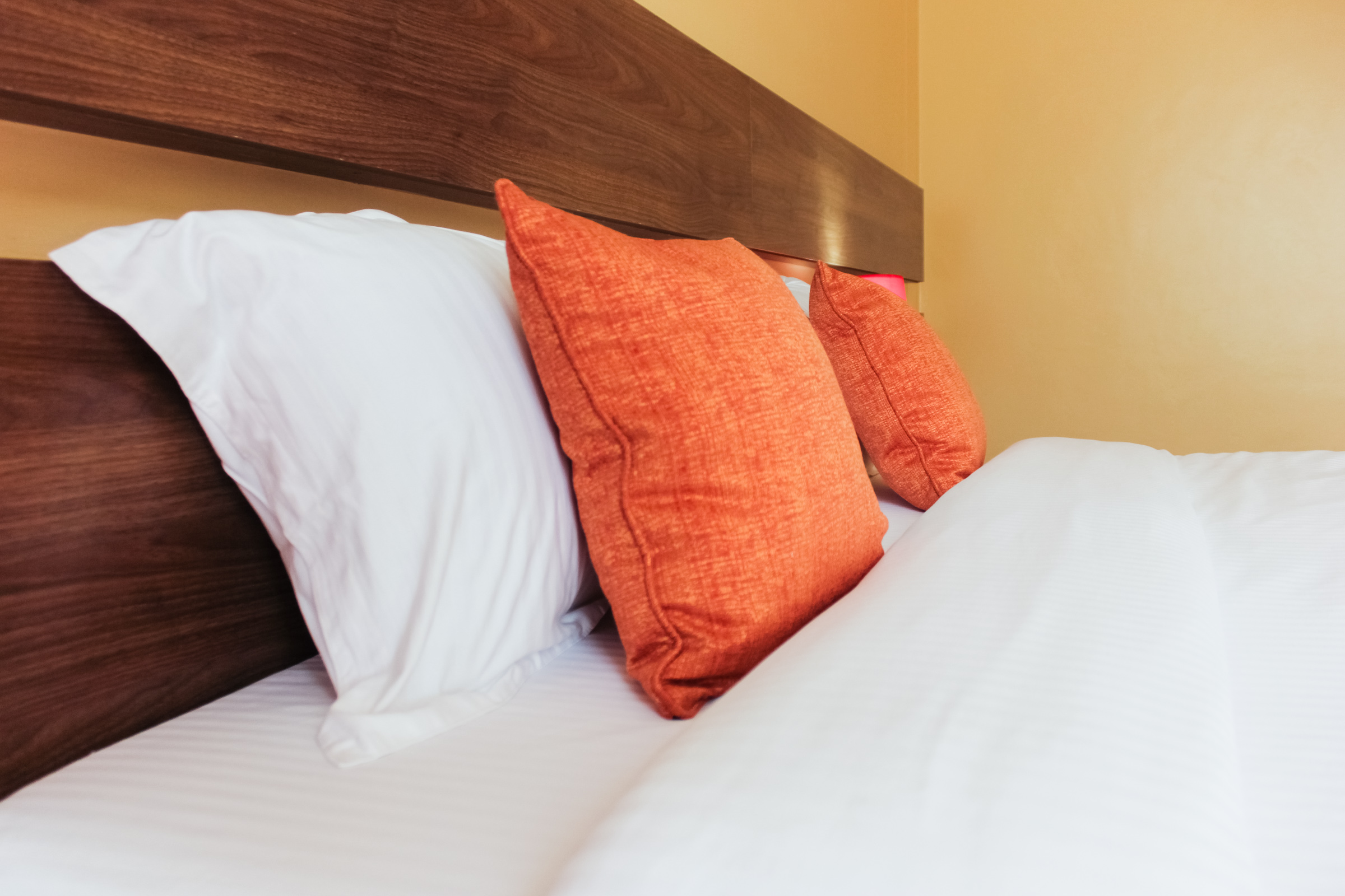 Room Accesible Deluxe 