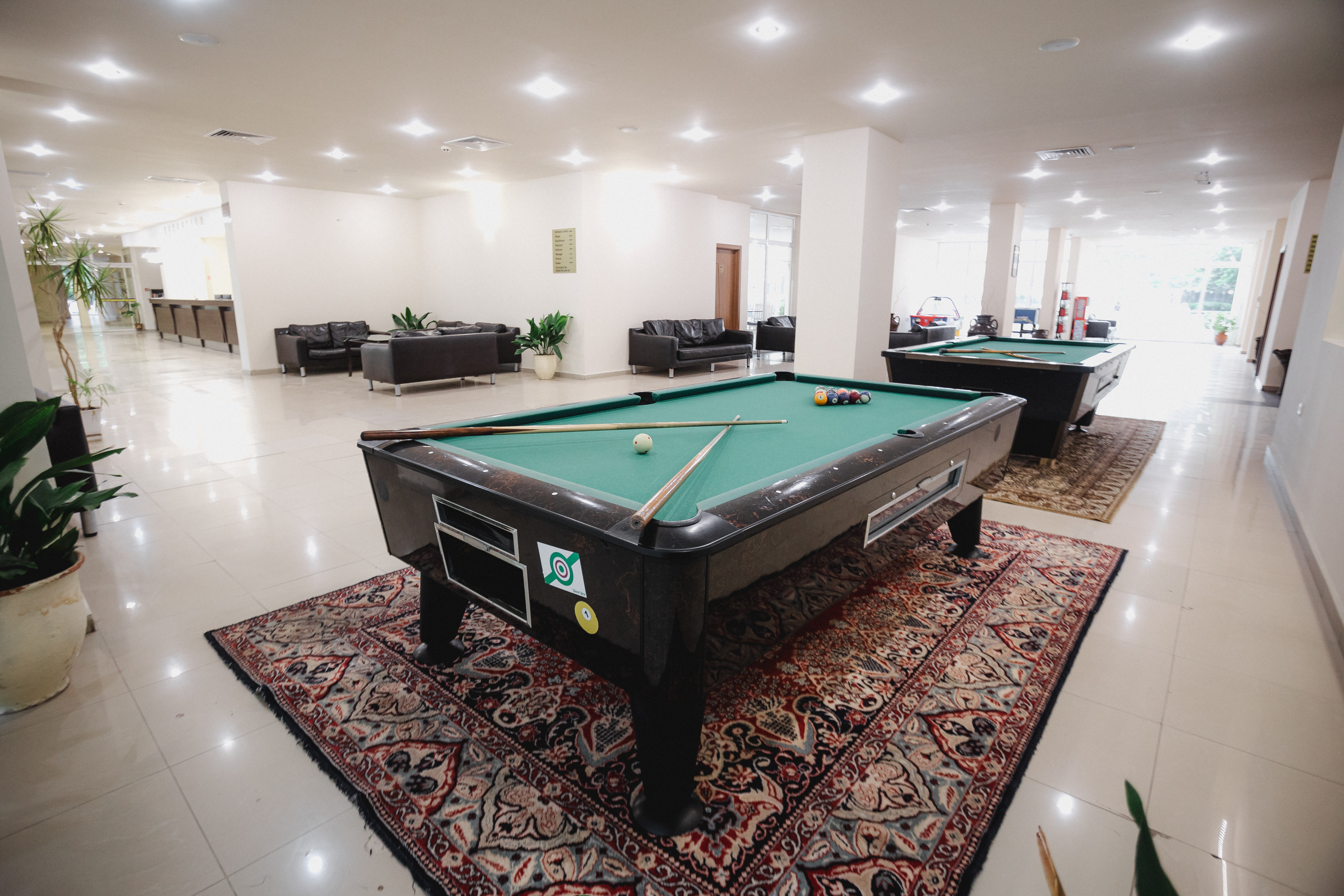 Sports and Entertainment