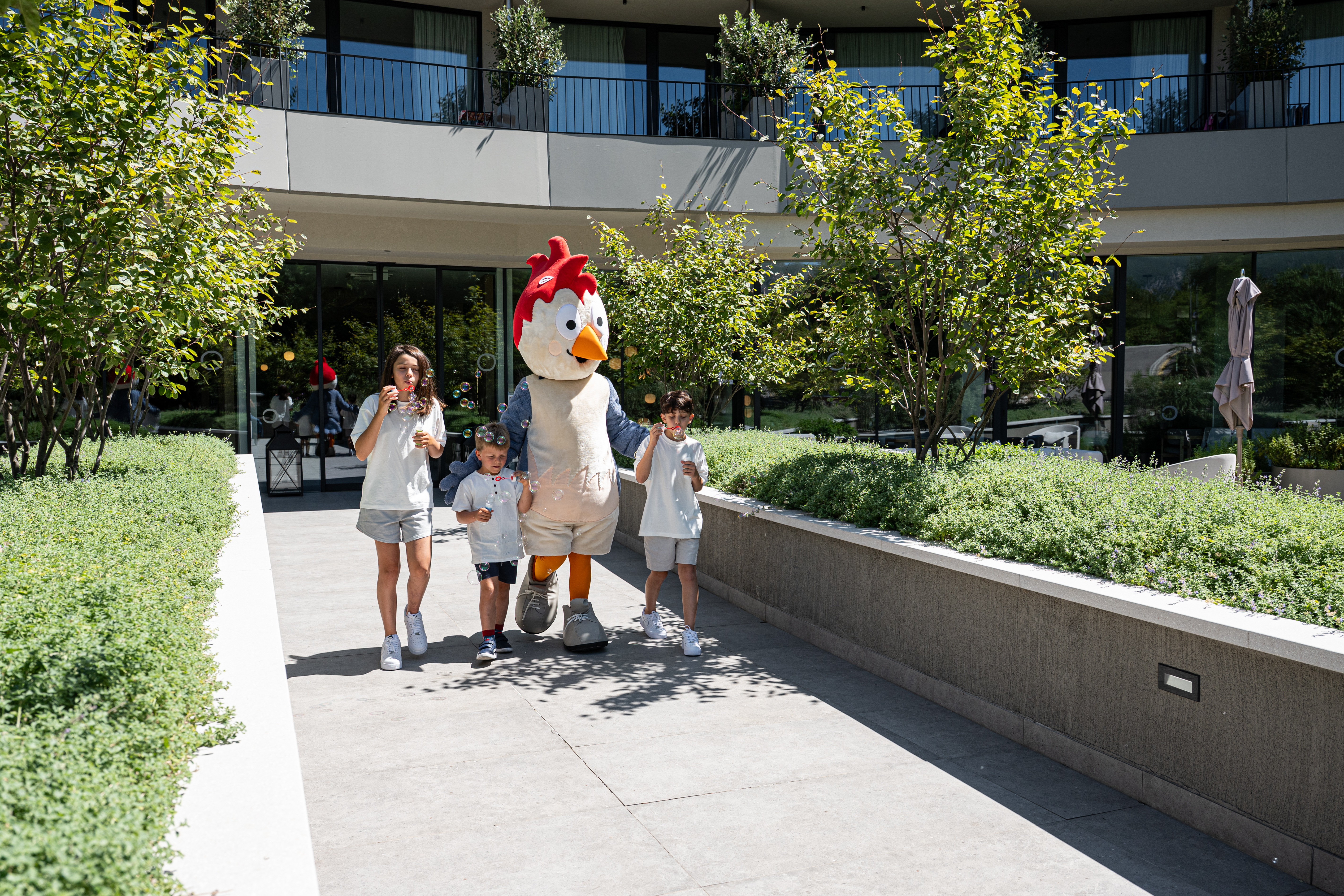 Sports and Entertainment