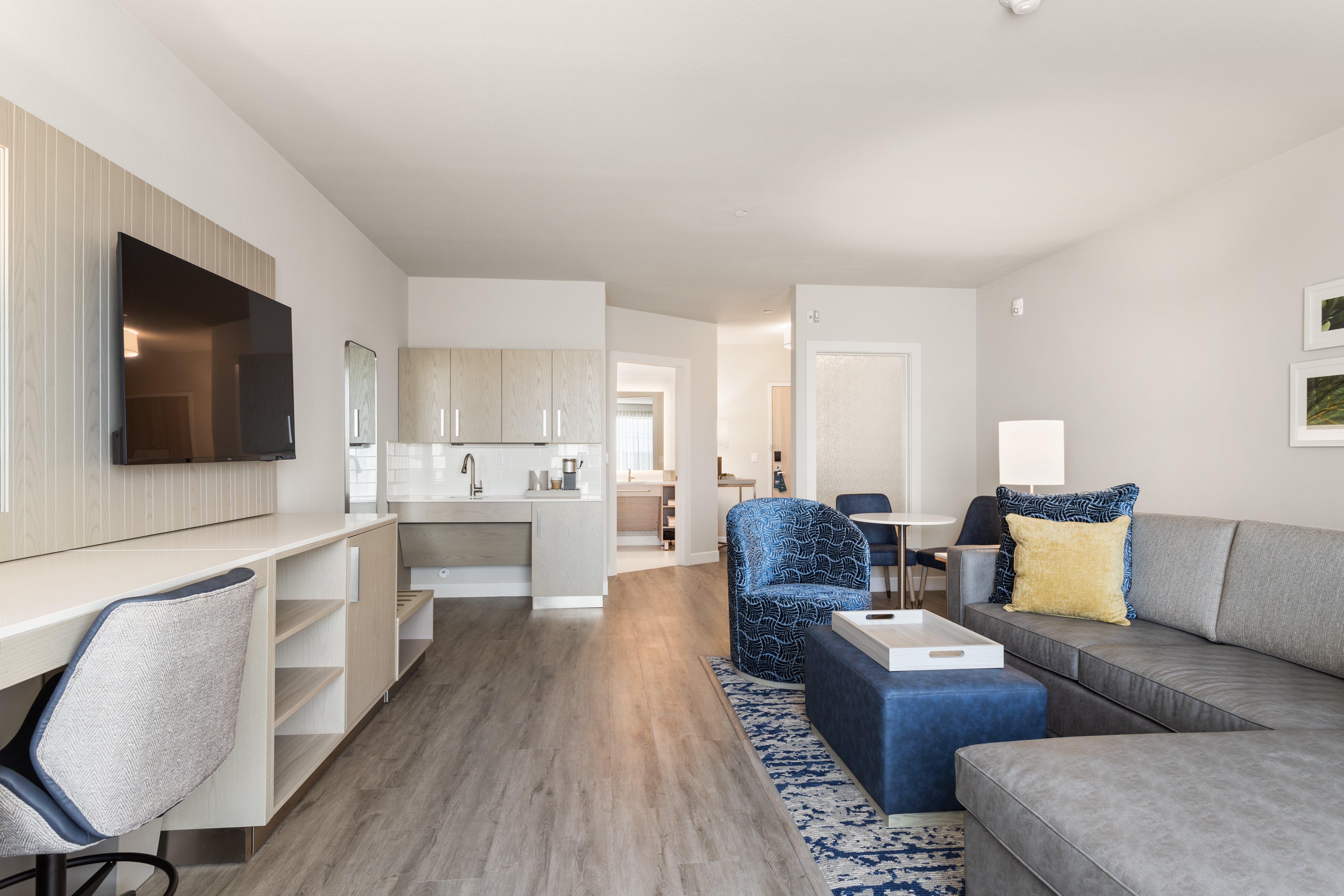 Suite King Bed One Bedroom 