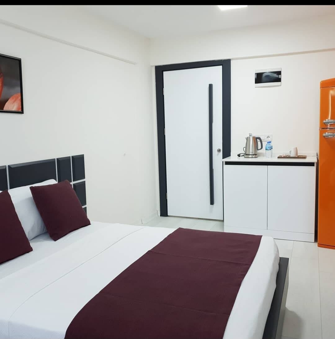 Double or Twin Economy