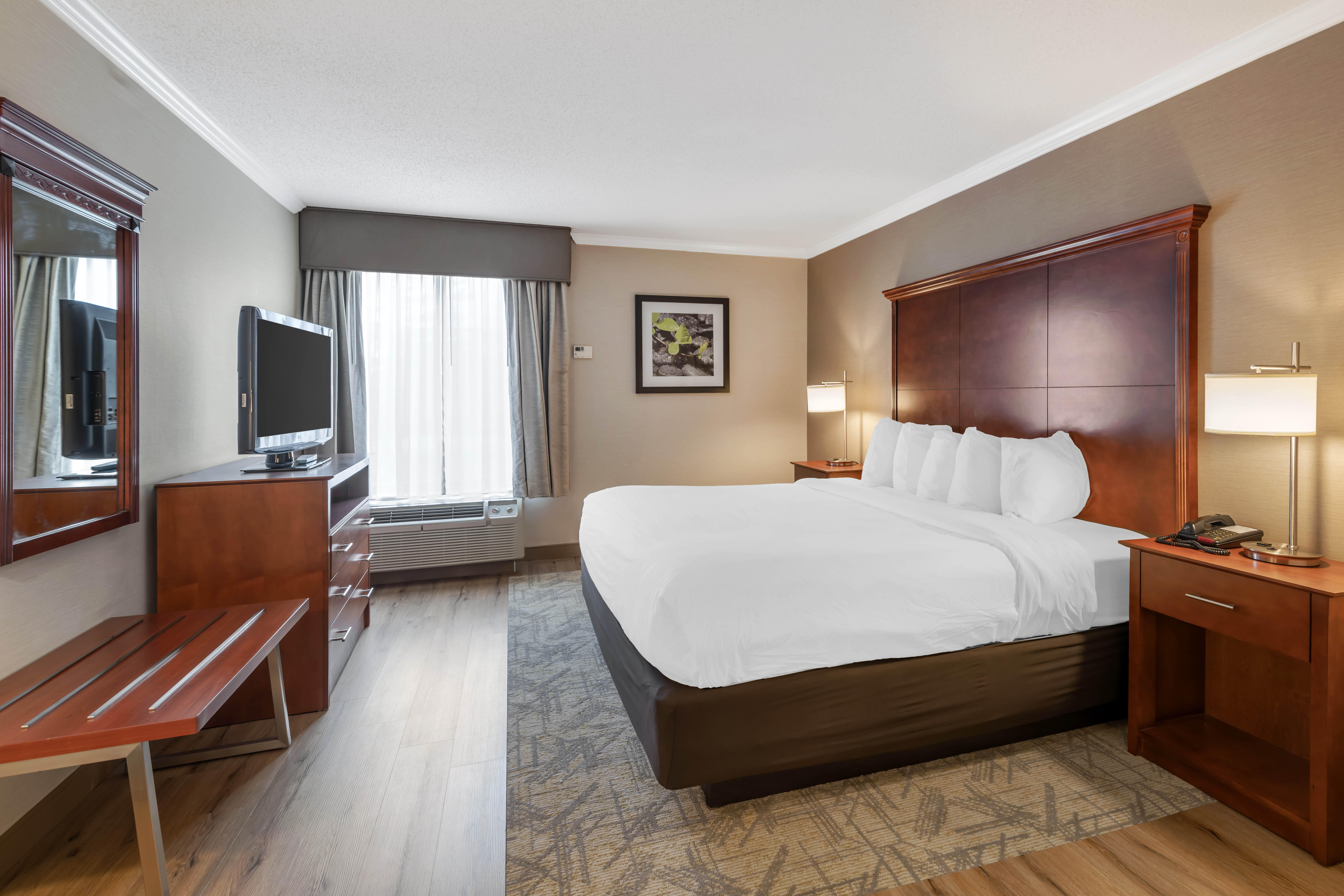 Single King Size Bed