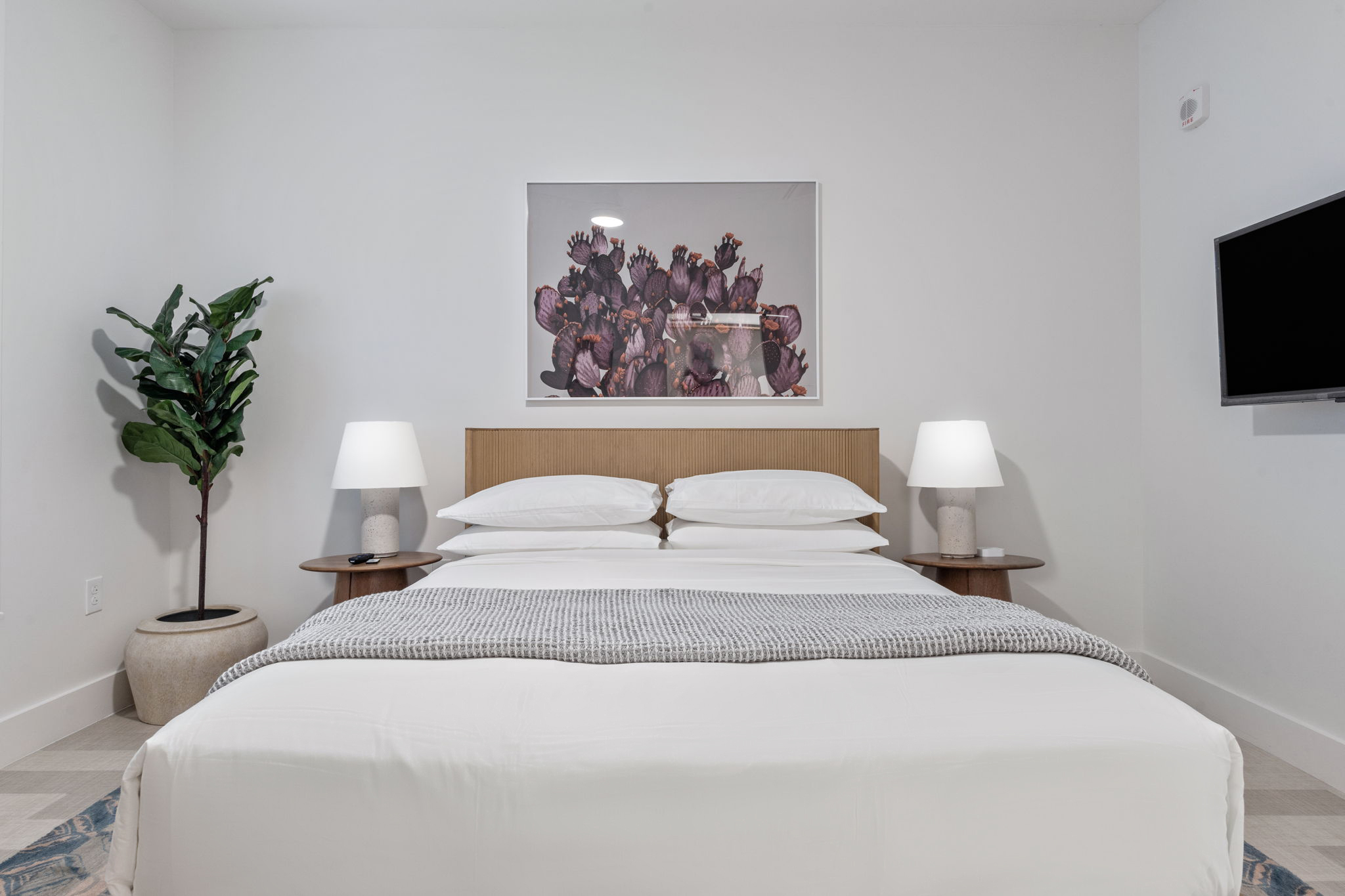 Apartment Premium One Bedroom