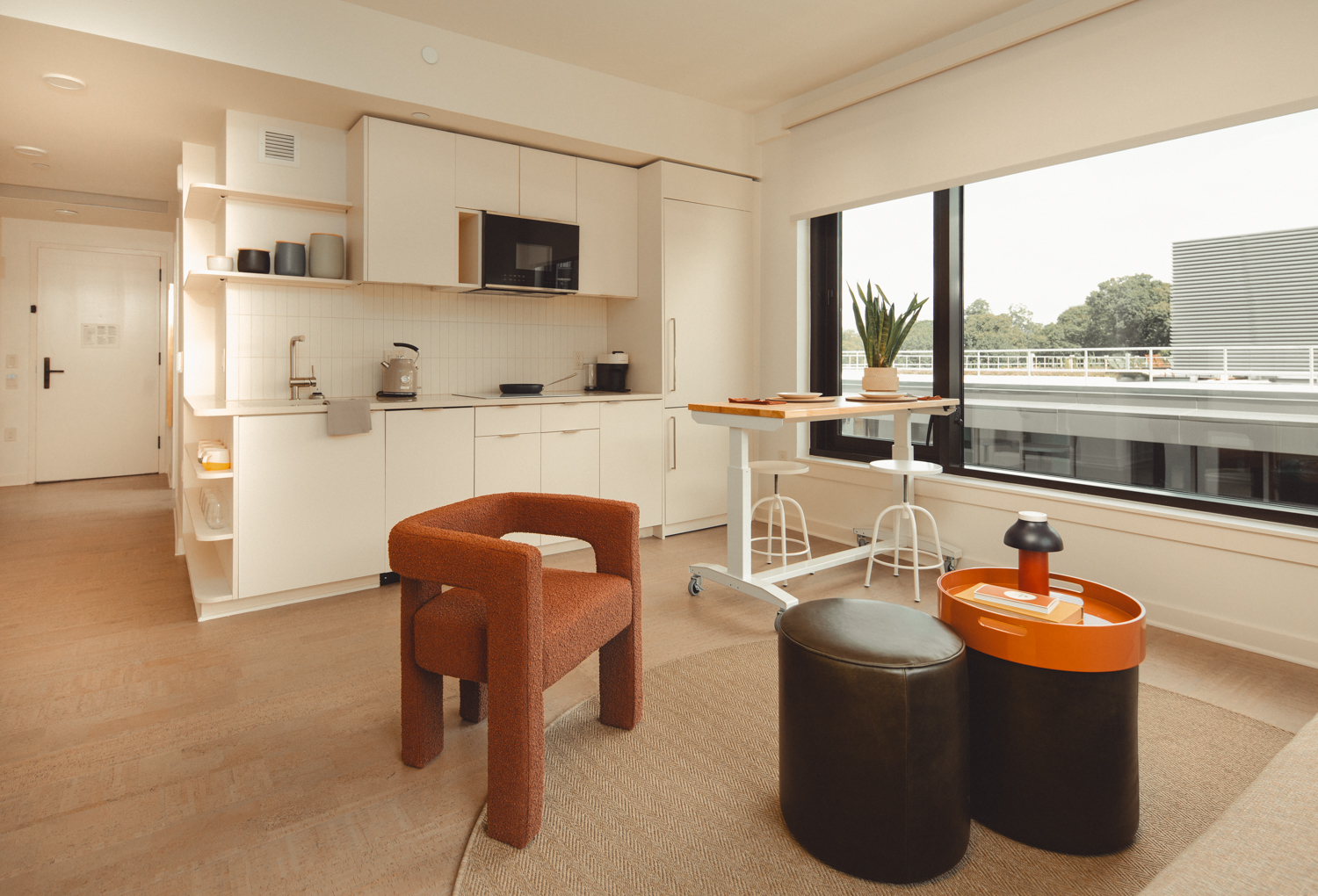 Apartment Two Bedrooms One Bathroom