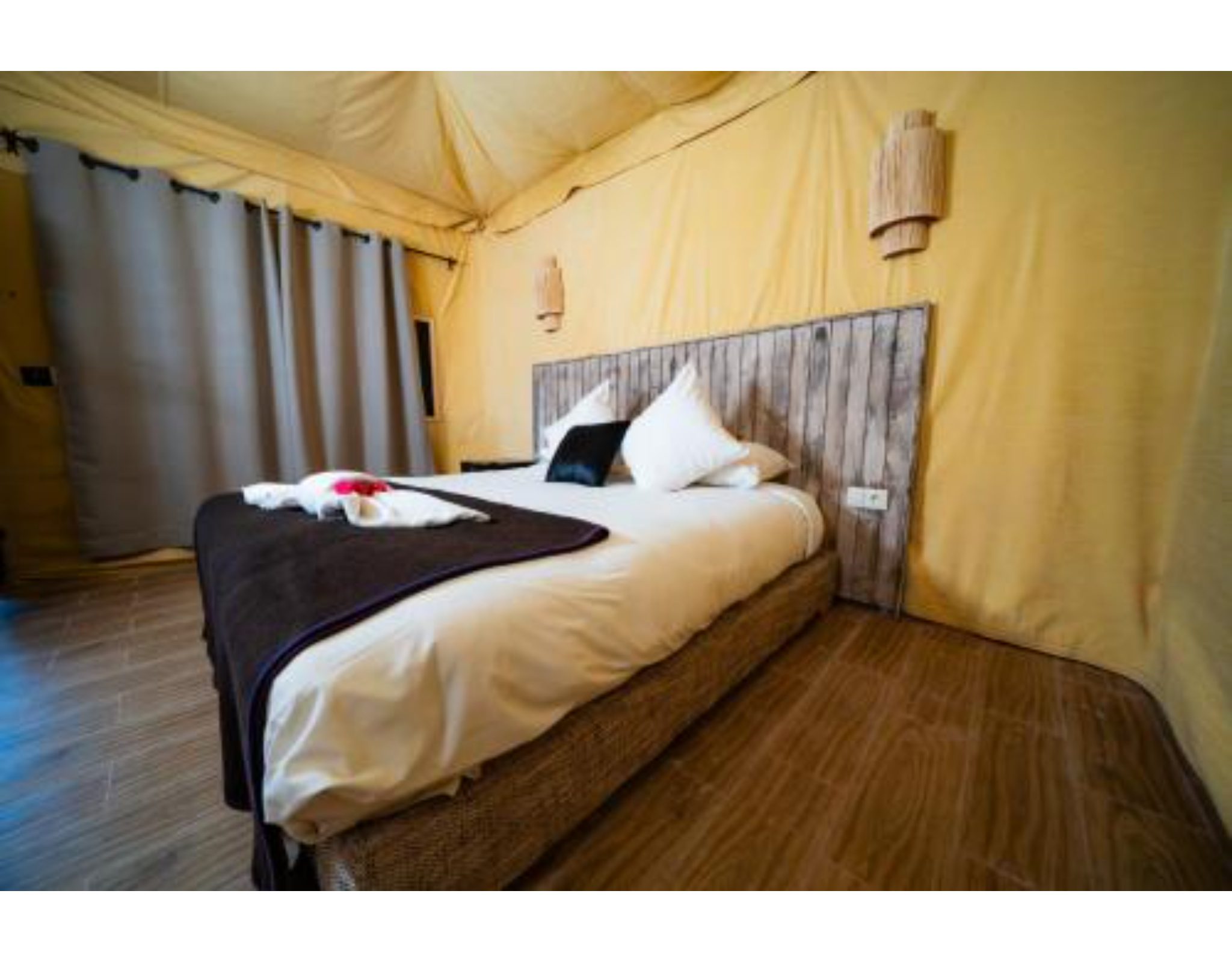 Double or Twin Standard