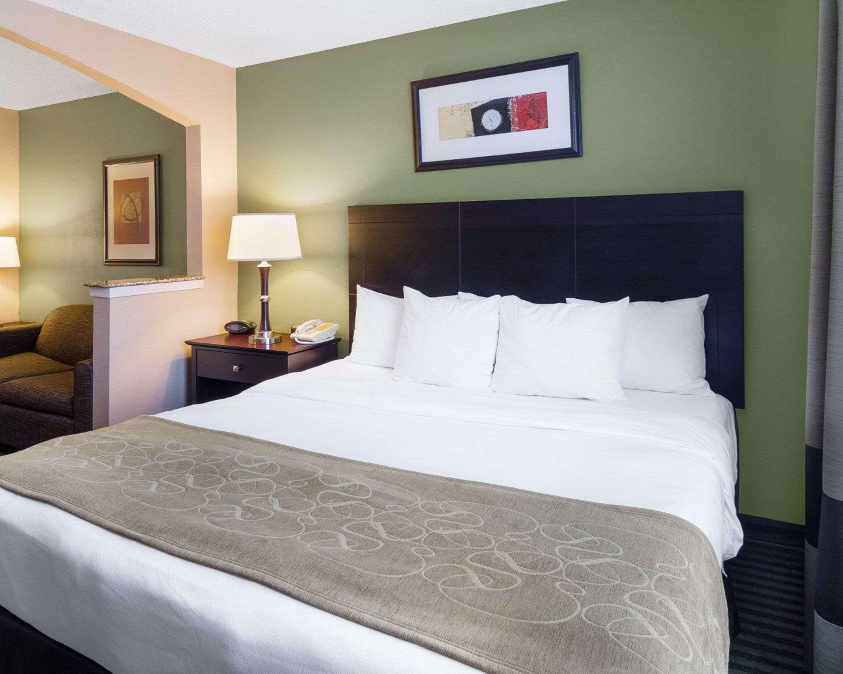 Suite King Bed Non Smoking