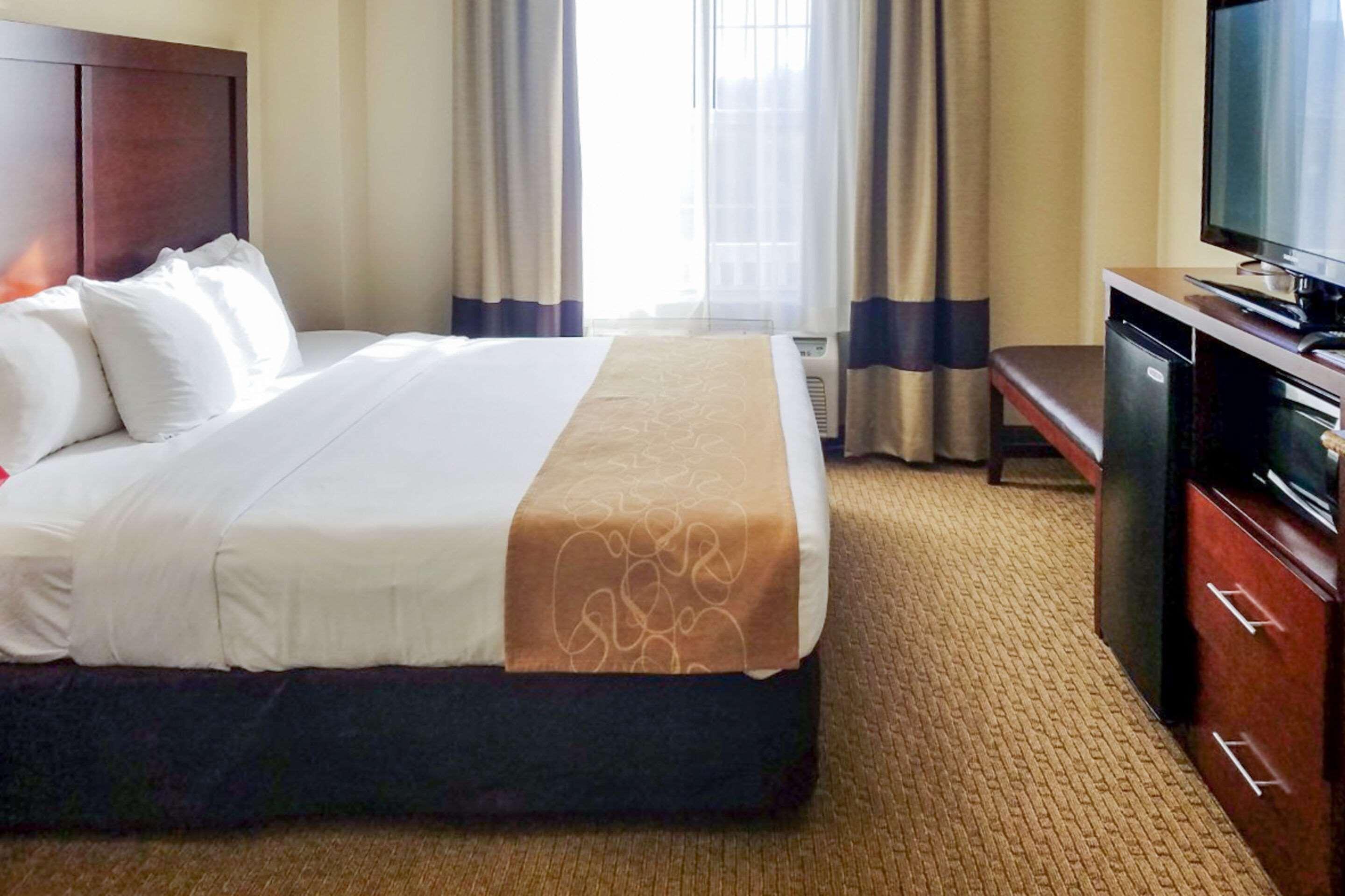 Suite King Bed Non Smoking