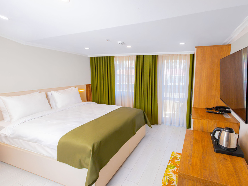 Room Accessible King Size Bed