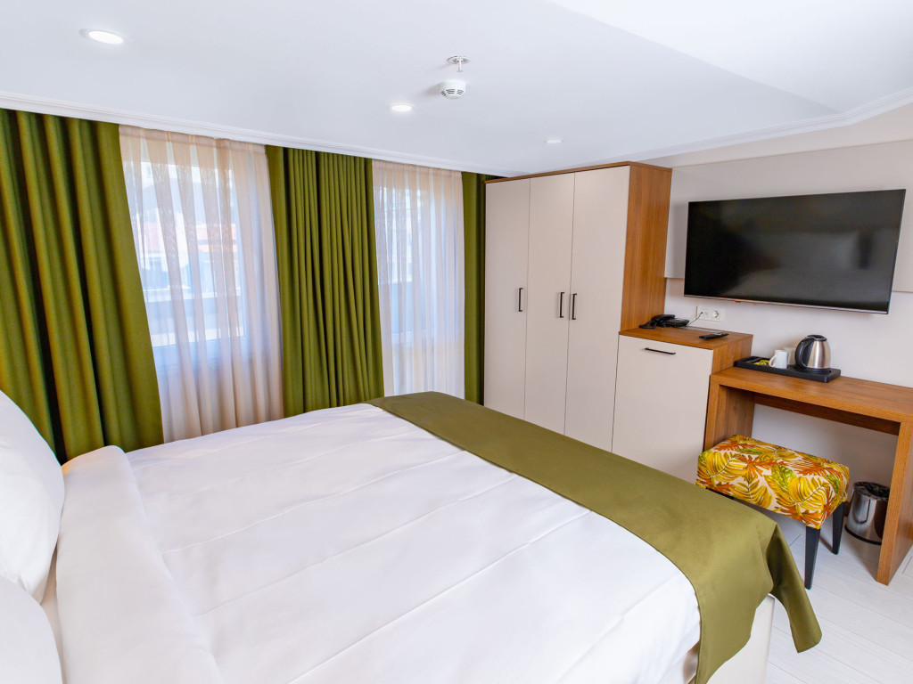 Room Accessible King Size Bed